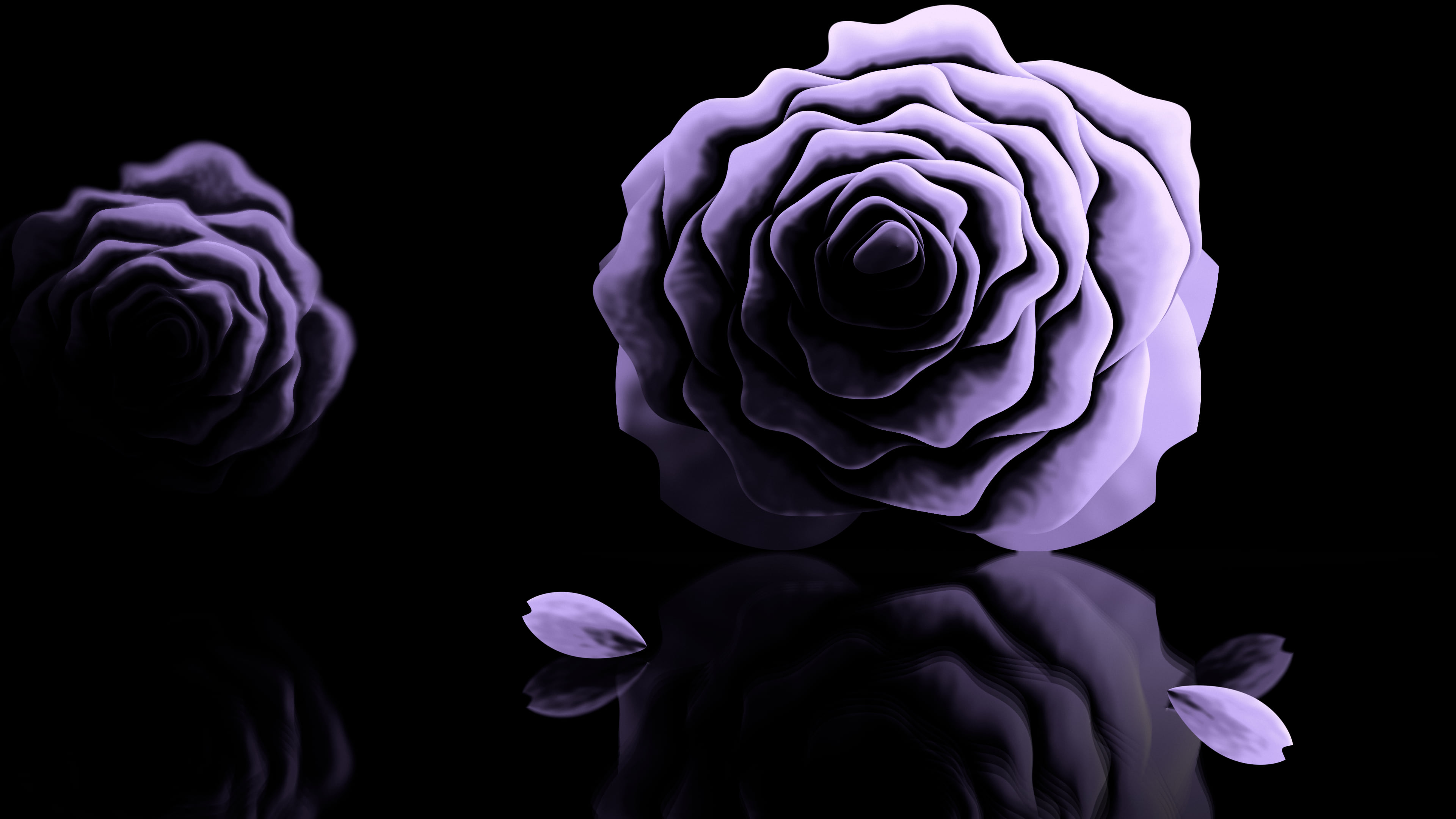 Lavender Rose Reflection desktop wallpaper in 4K