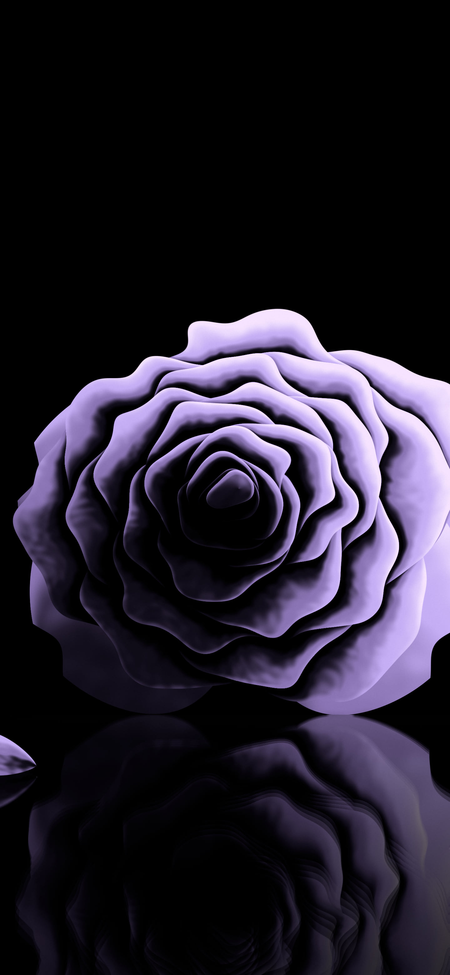 Lavender Rose Reflection wallpaper for iPhone and Android