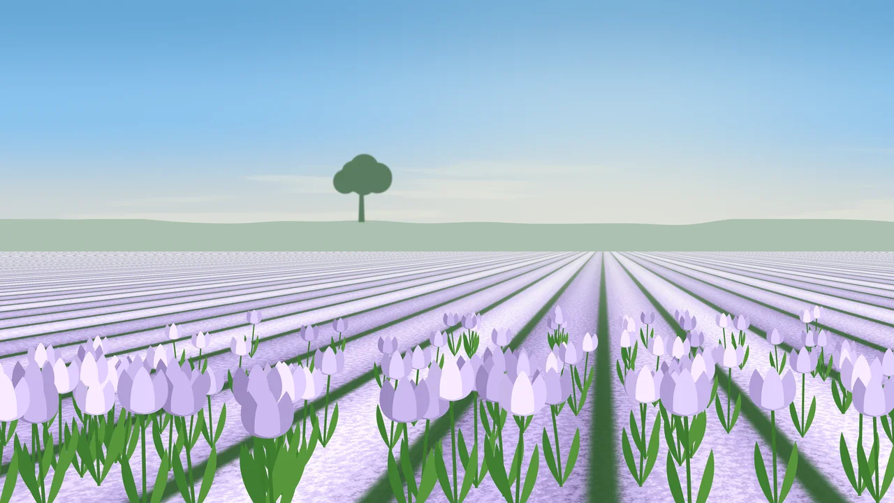 Lavender Tulip Field desktop wallpaper in 4K
