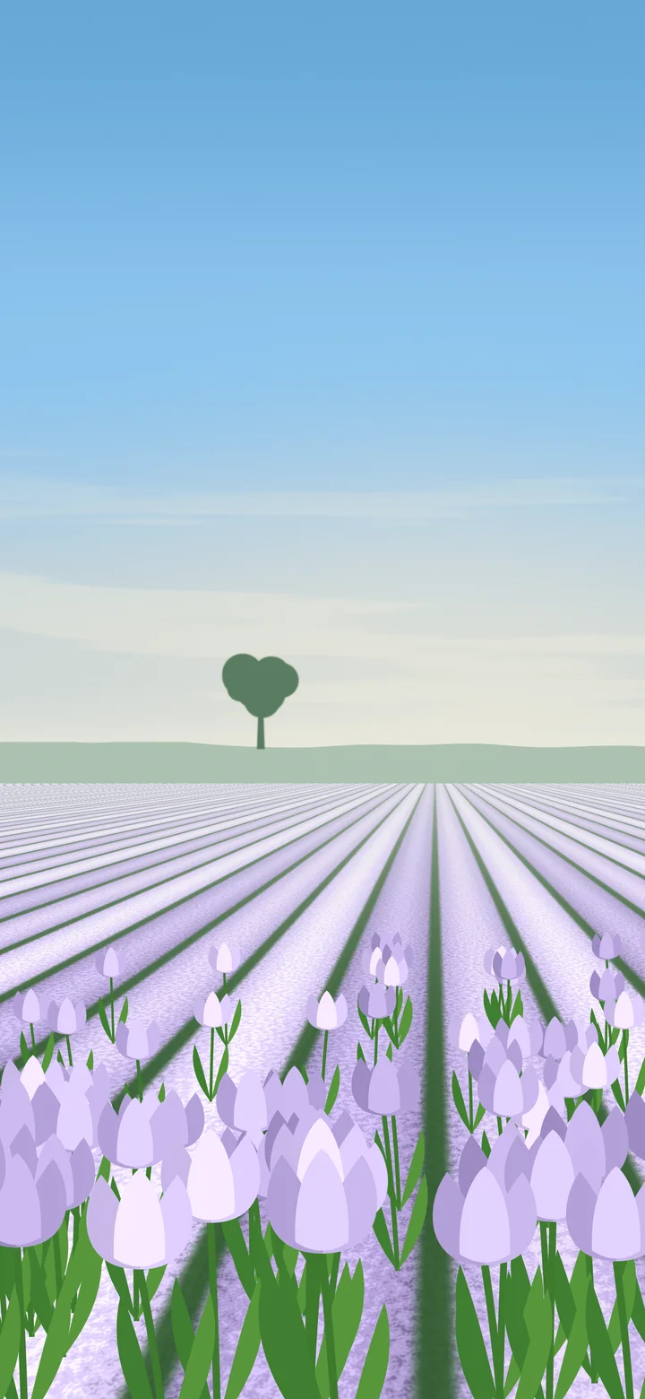 Lavender Tulip Field wallpaper for iPhone and Android
