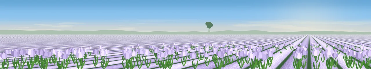 Lavender Tulip Field triple monitor wallpaper, 7680 × 1440