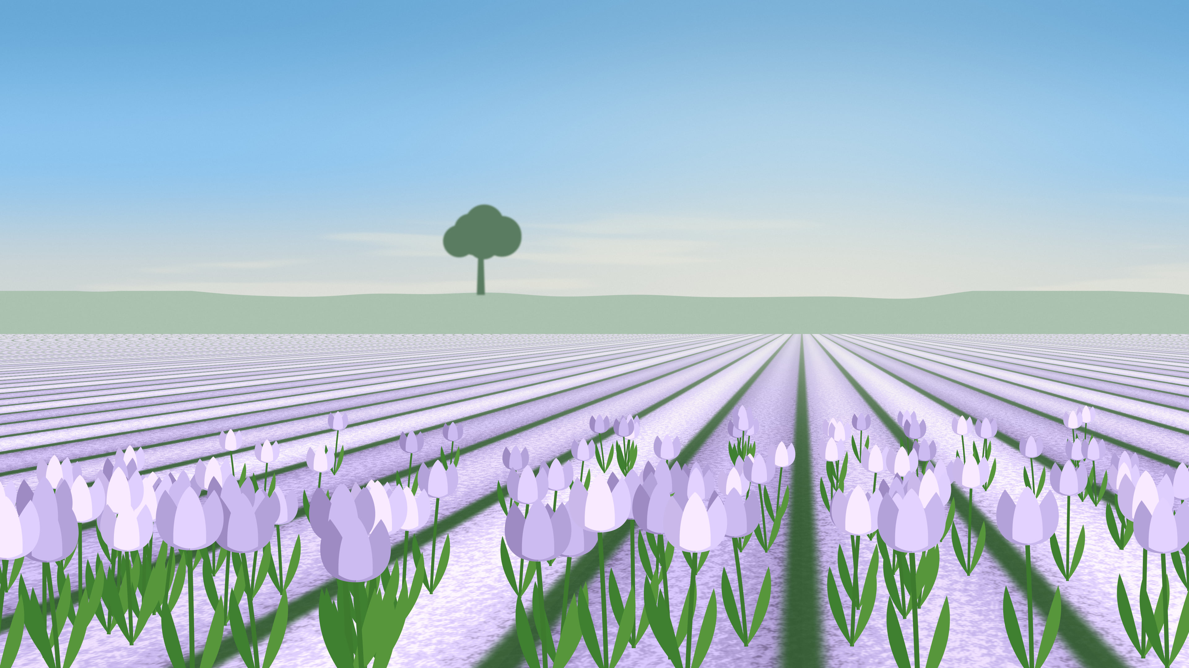 Lavender Tulip Field desktop wallpaper in 4K