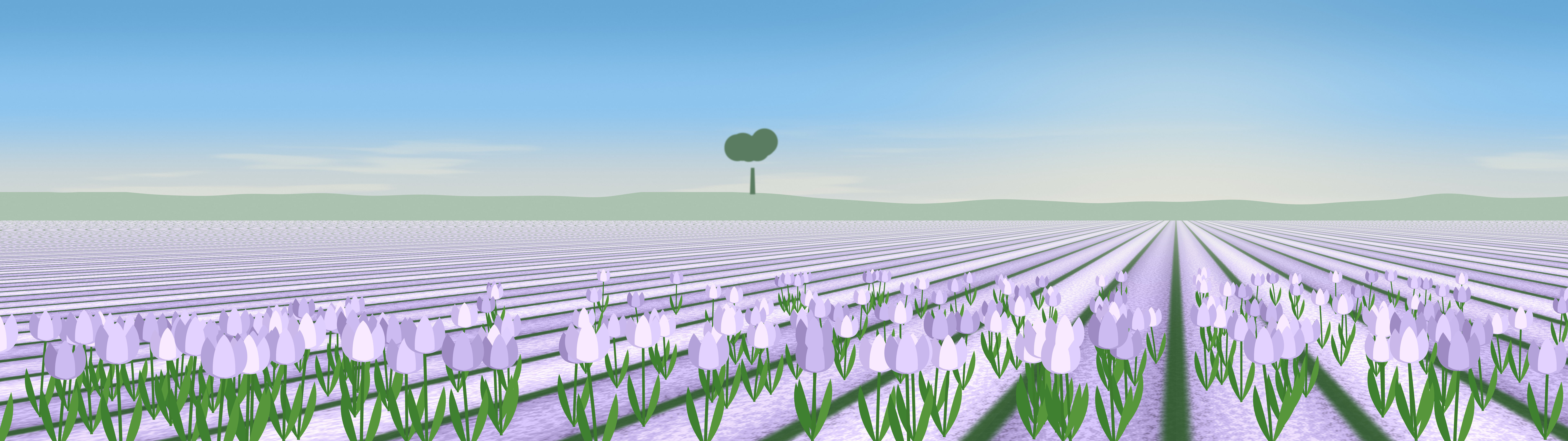 Lavender Tulip Field dual monitor wallpaper, 7680 × 2160