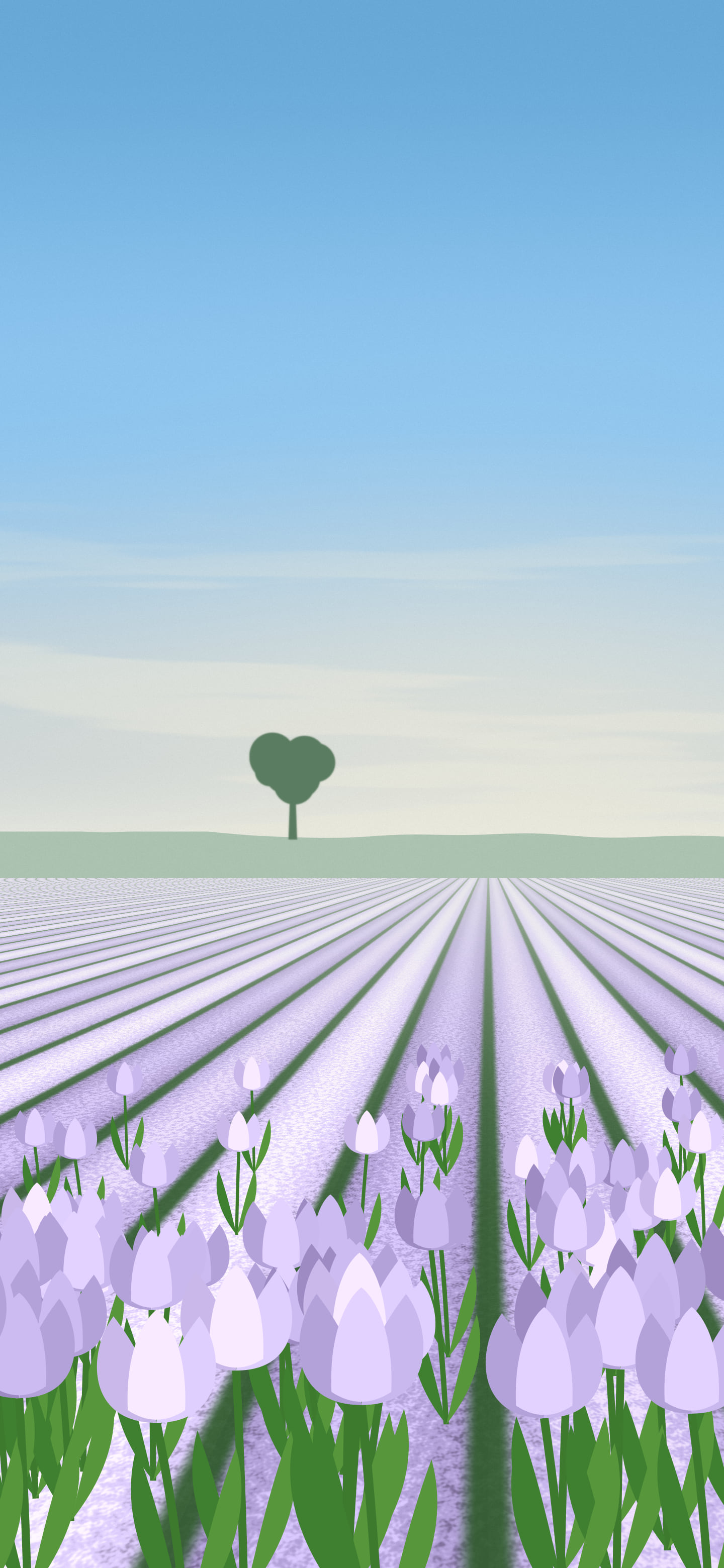 Lavender Tulip Field wallpaper for iPhone and Android