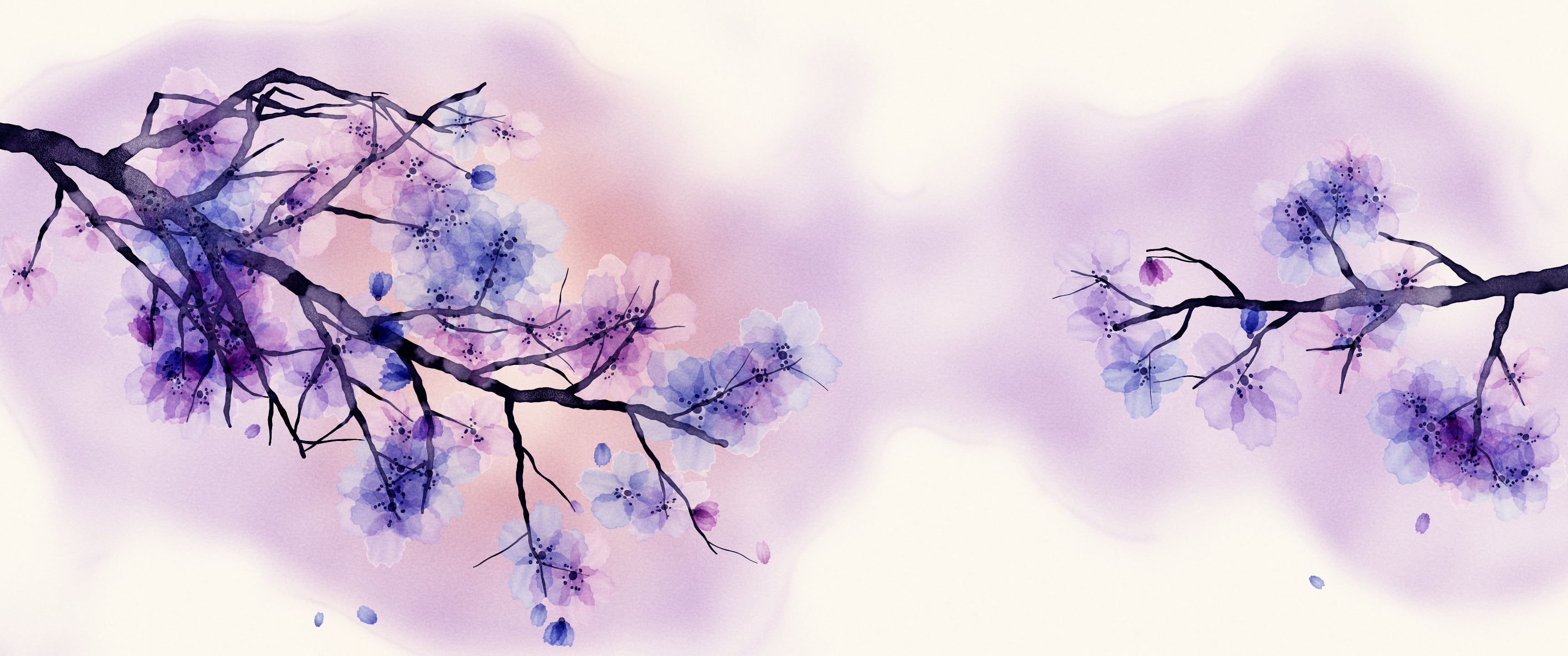Lavender Watercolor Cherry Blossom Branch ultrawide wallpaper, 3440 × 1440
