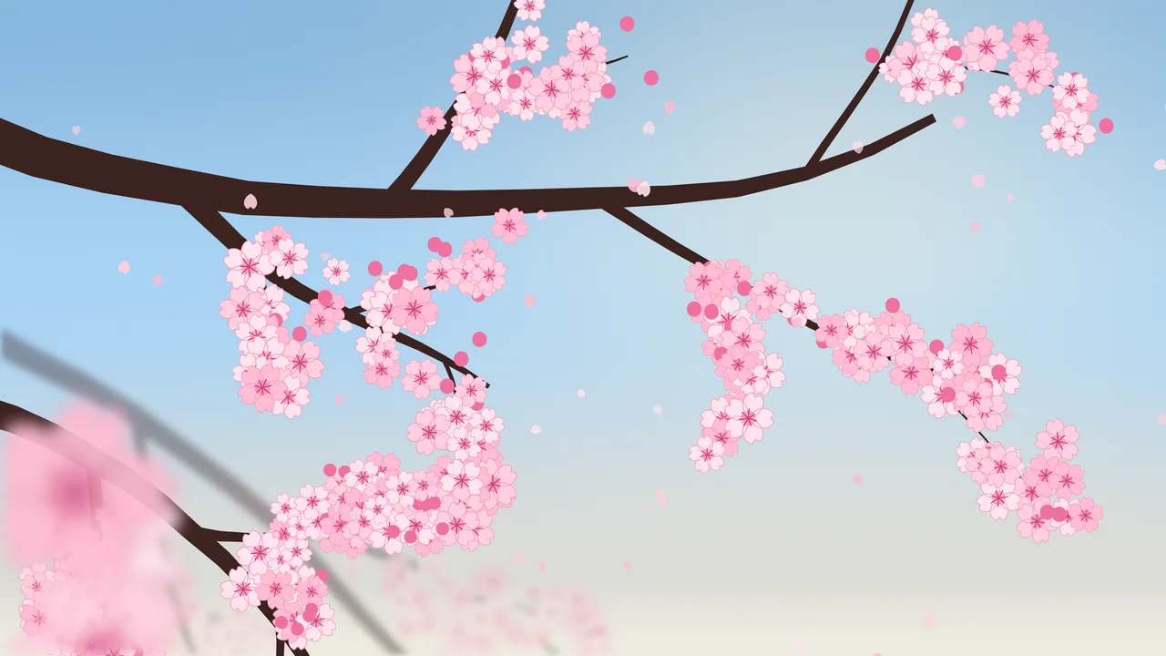 Light Blue Cherry Blossom Branch desktop wallpaper in 4K