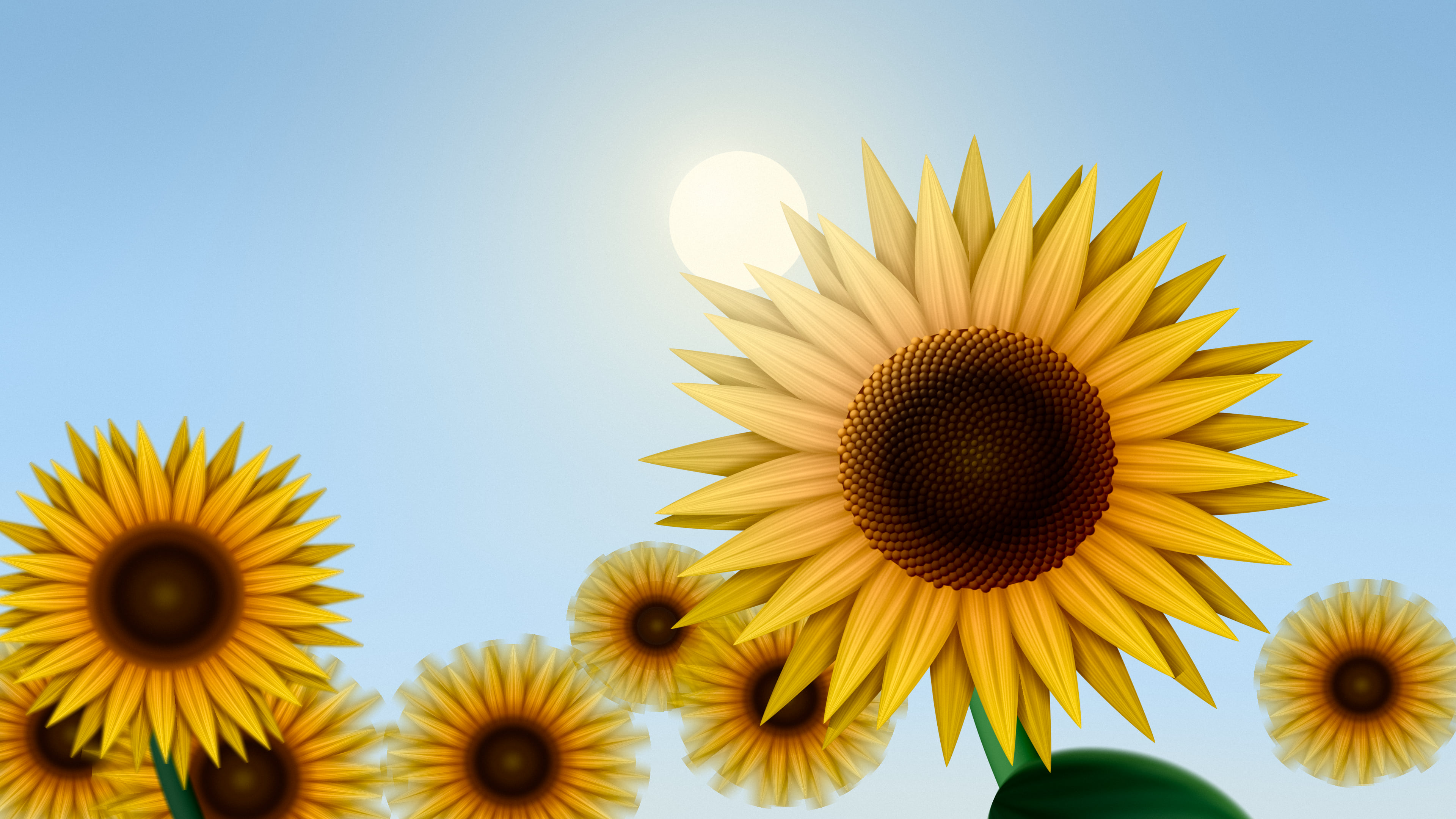 Light Blue Sunflower Sky desktop wallpaper in 4K