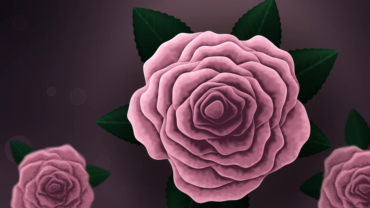 Light Pink Rose desktop wallpaper in 4K