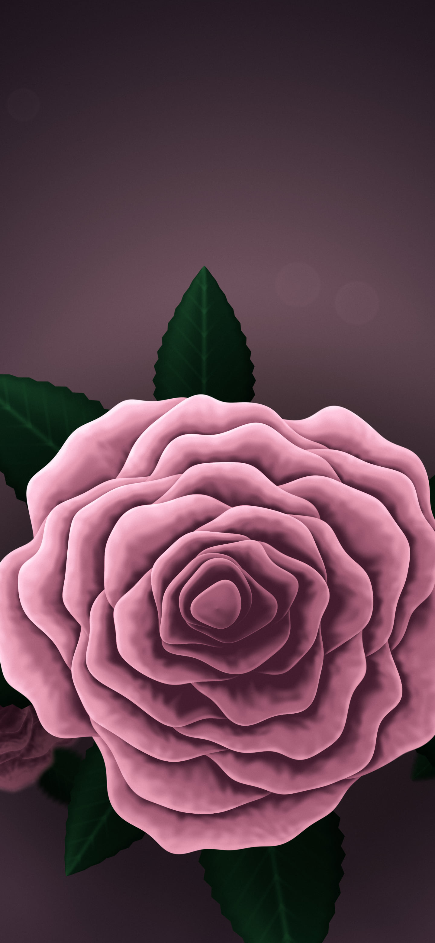Light Pink Rose wallpaper for iPhone and Android
