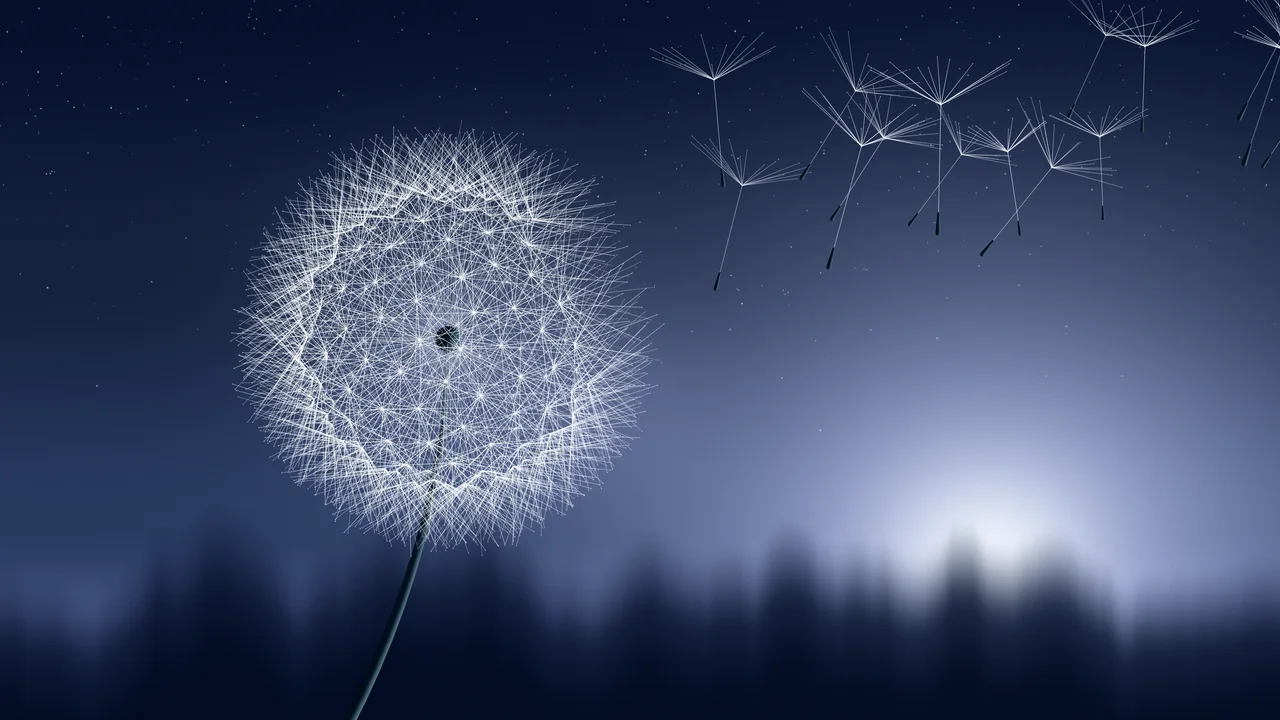Navy Dandelion desktop wallpaper in 4K