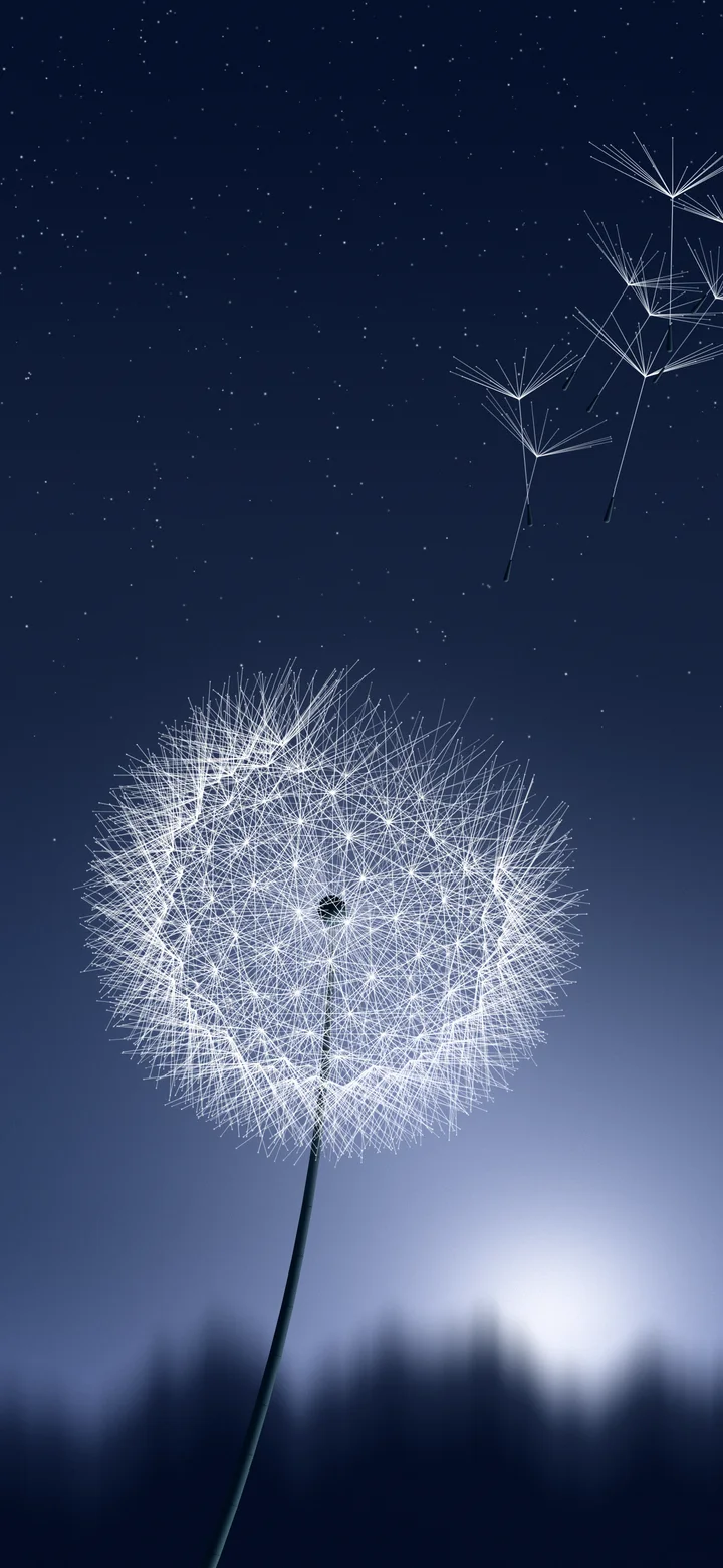 Navy Dandelion wallpaper for iPhone and Android