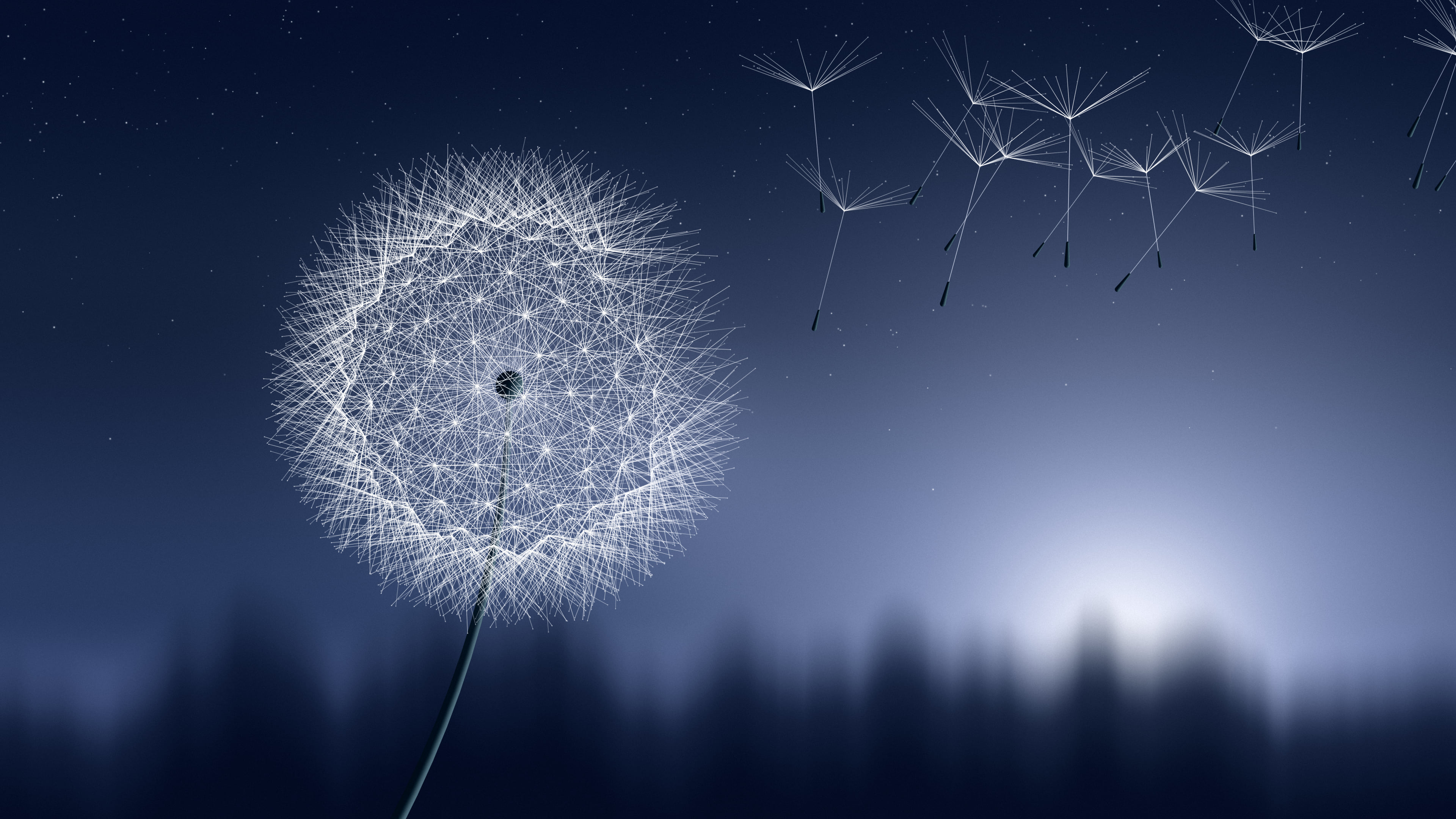 Navy Dandelion desktop wallpaper in 4K