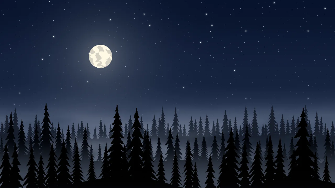 Navy Forest at Night desktop wallpaper in 4K