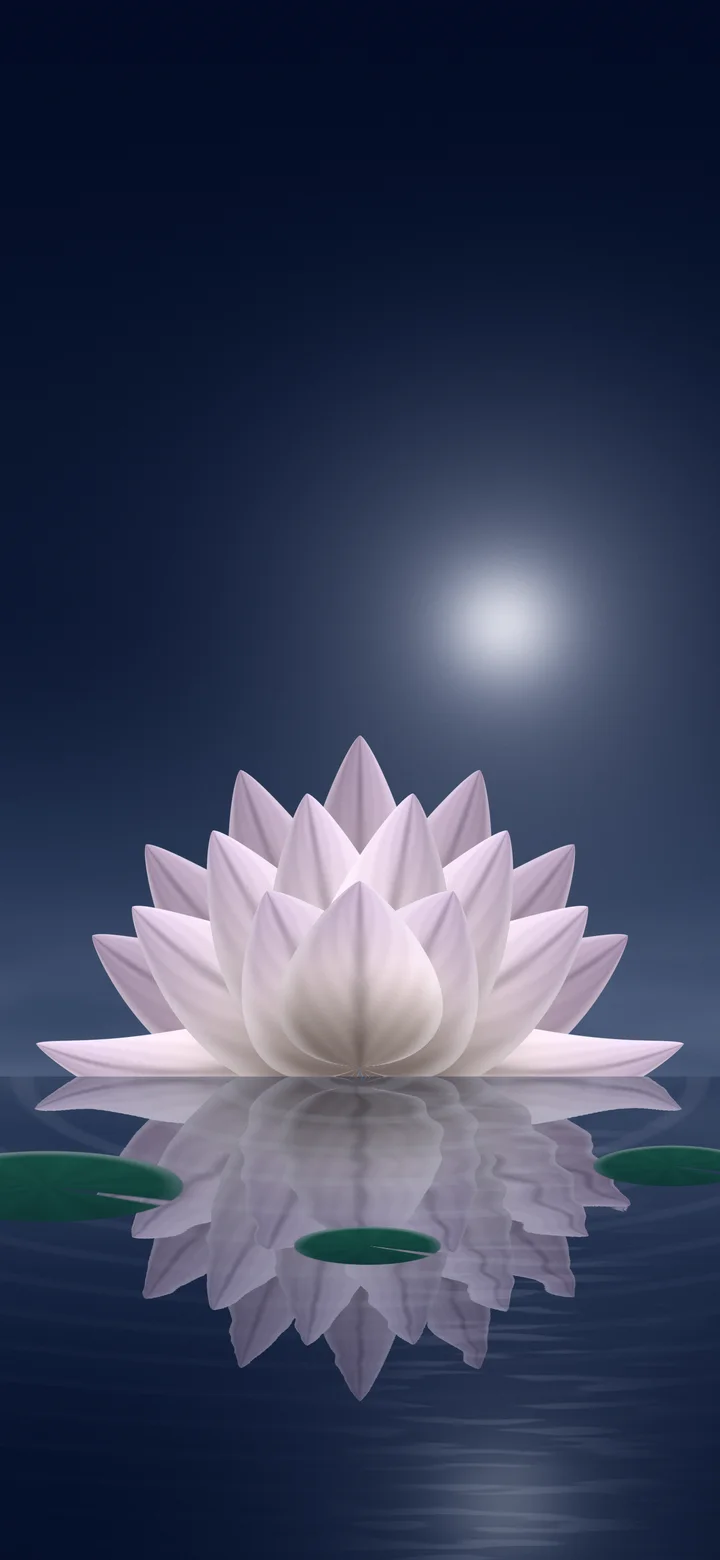 Navy Lotus Flower wallpaper for iPhone and Android