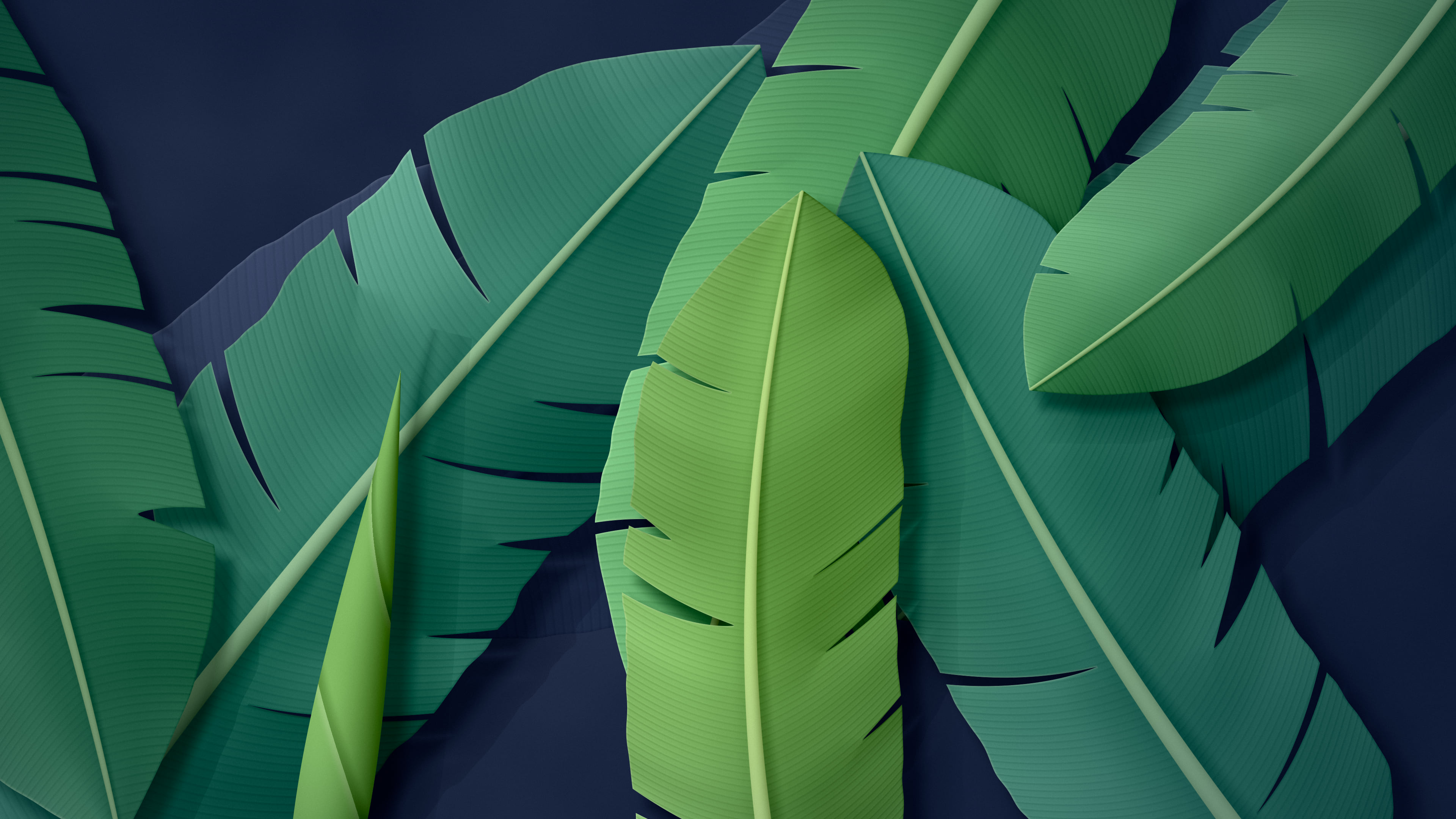 Navy Paper Banana Leaves desktop wallpaper in 4K