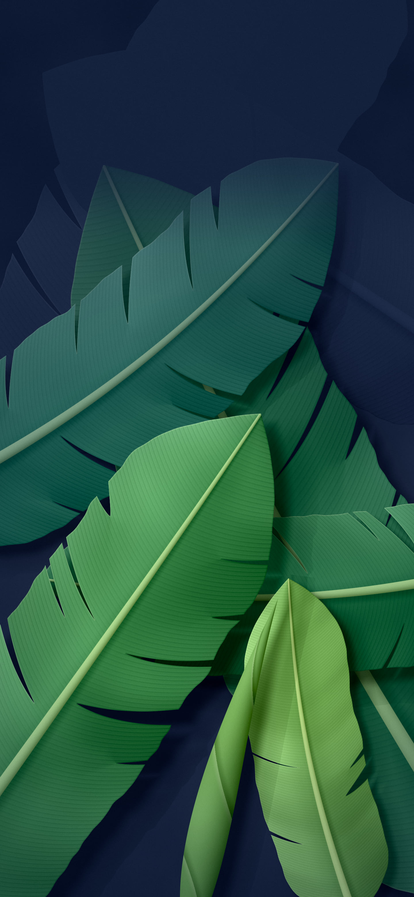 Navy Paper Banana Leaves wallpaper for iPhone and Android