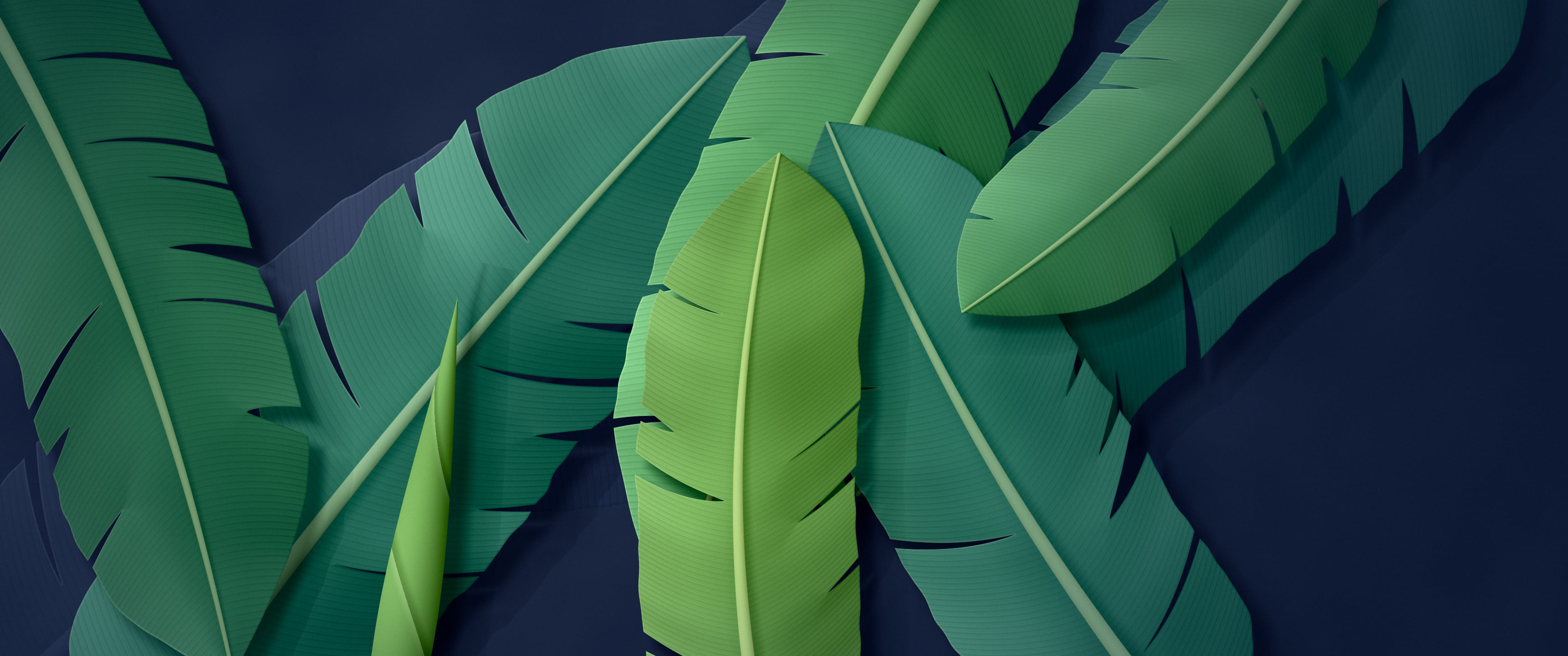 Navy Paper Banana Leaves ultrawide wallpaper, 3440 × 1440
