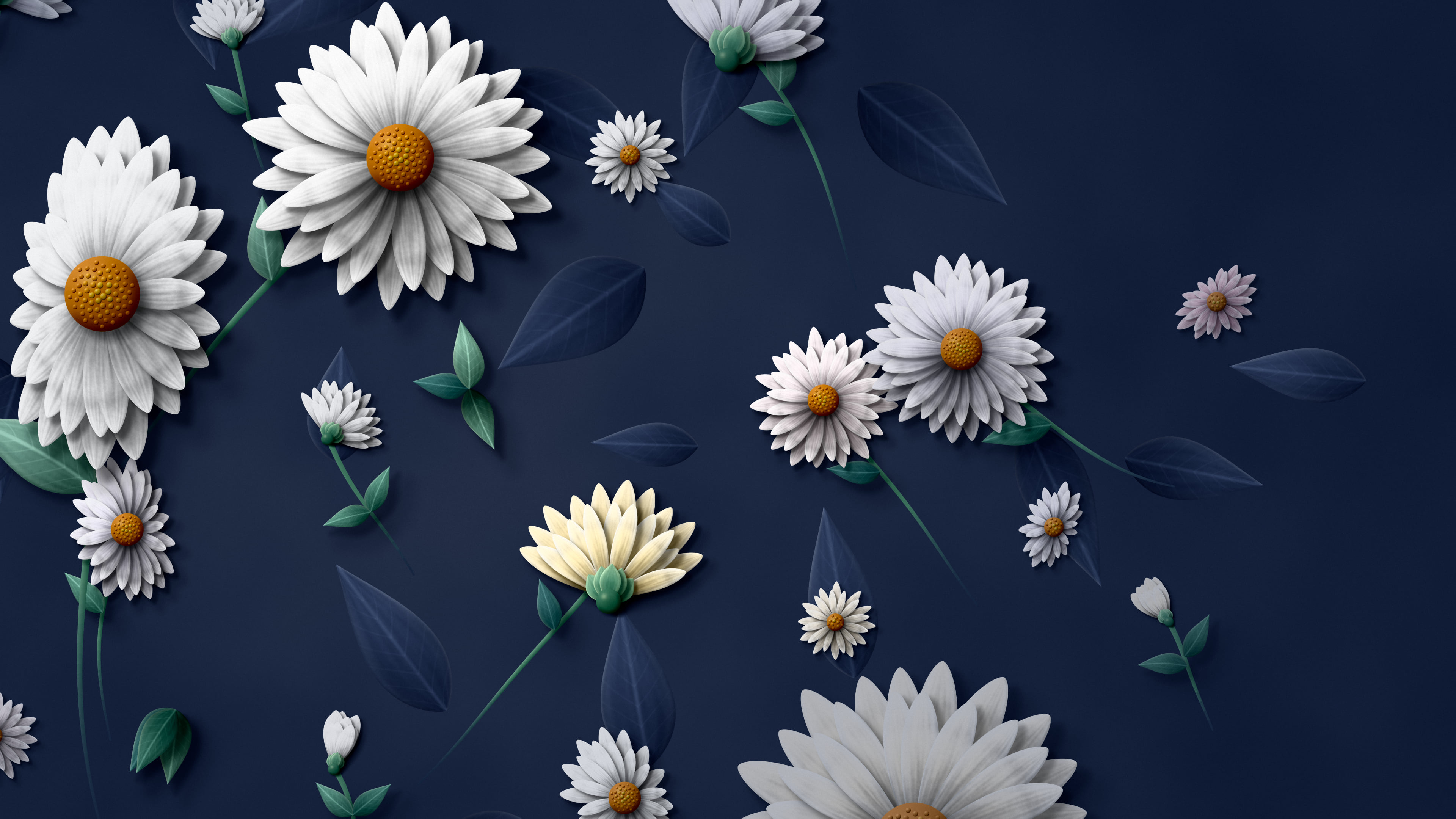 Navy Paper Daisy Pattern desktop wallpaper in 4K