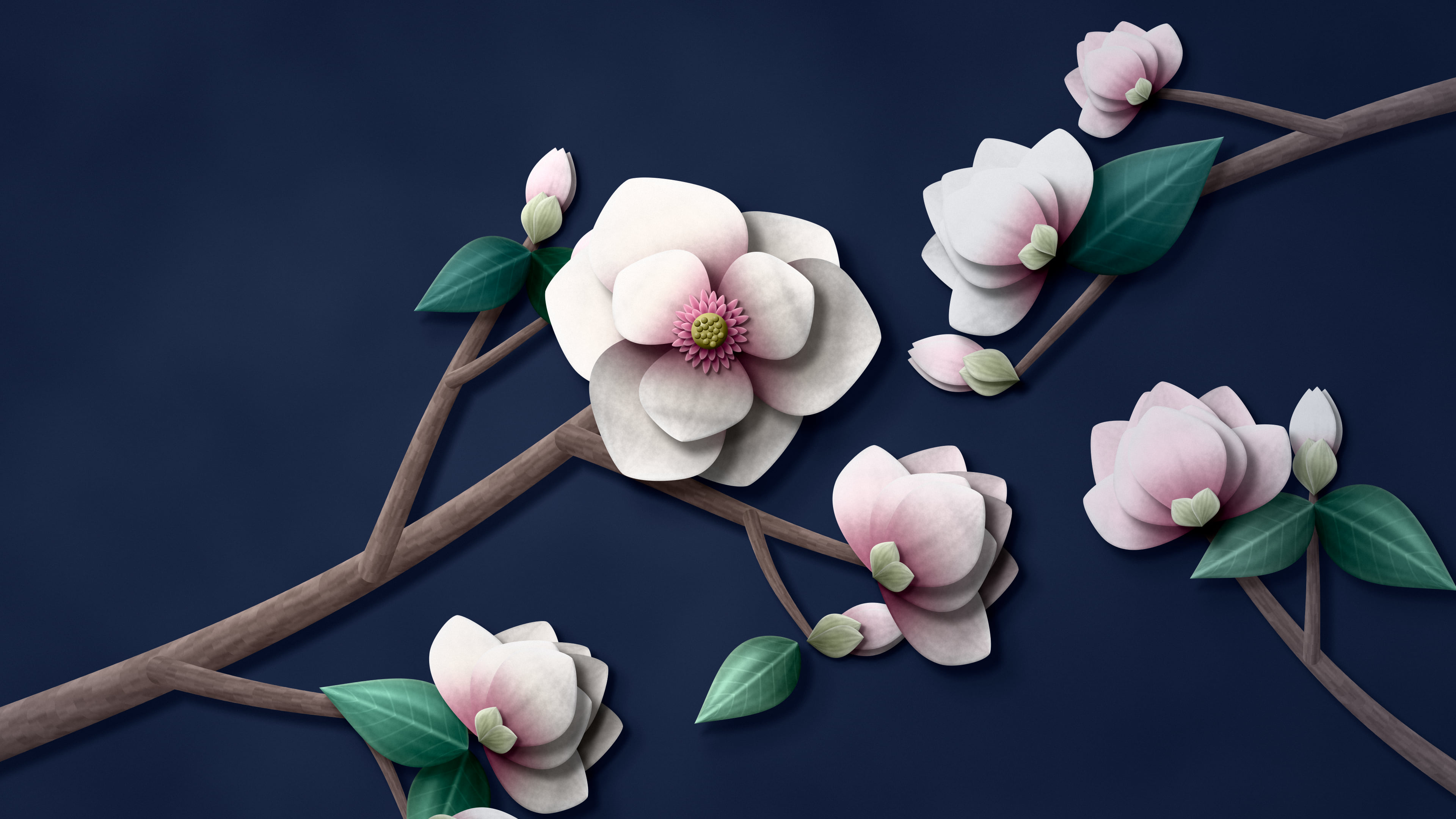 Navy Paper Magnolia Branch desktop wallpaper in 4K