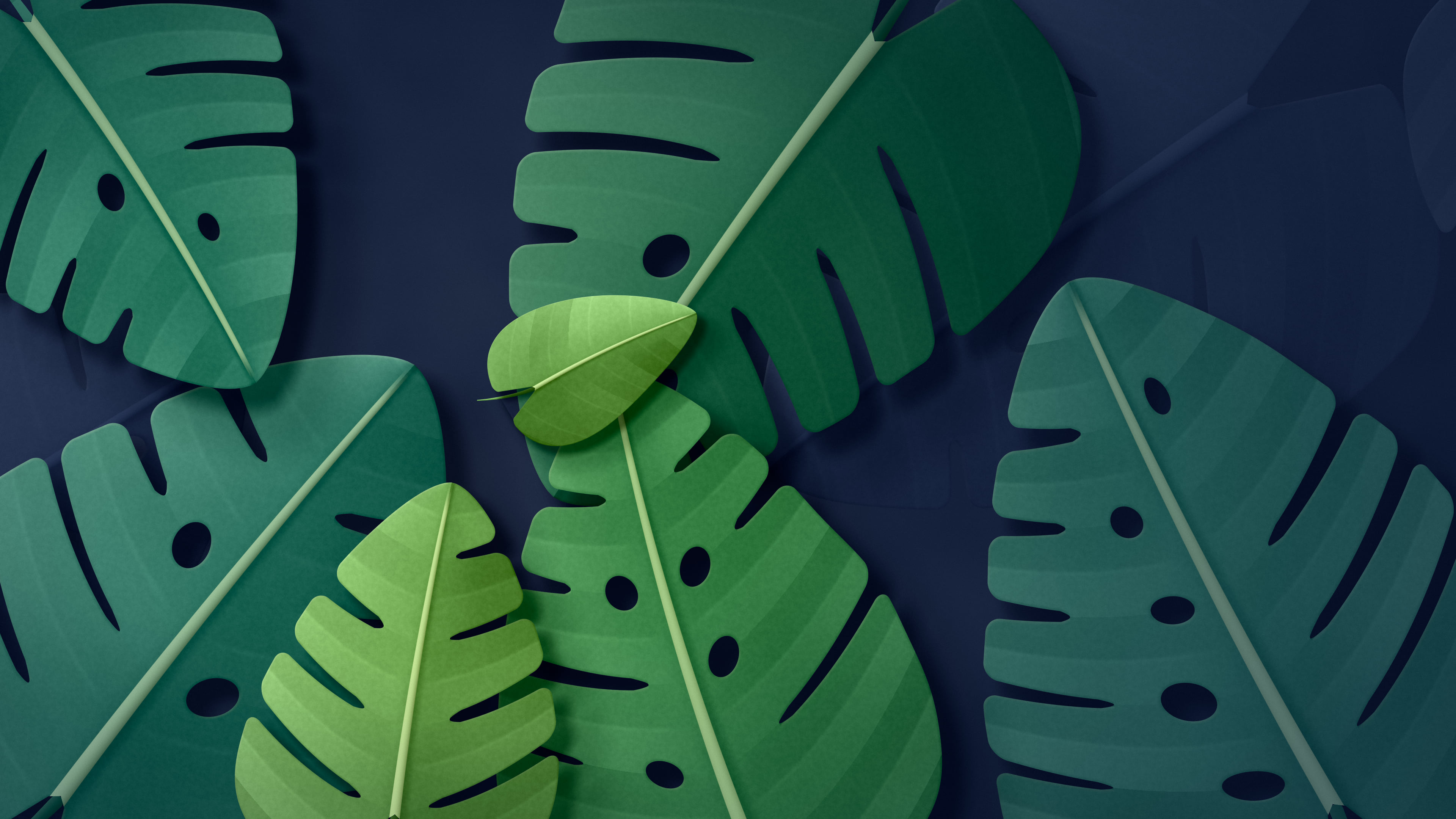 Navy Paper Monstera Leaves desktop wallpaper in 4K