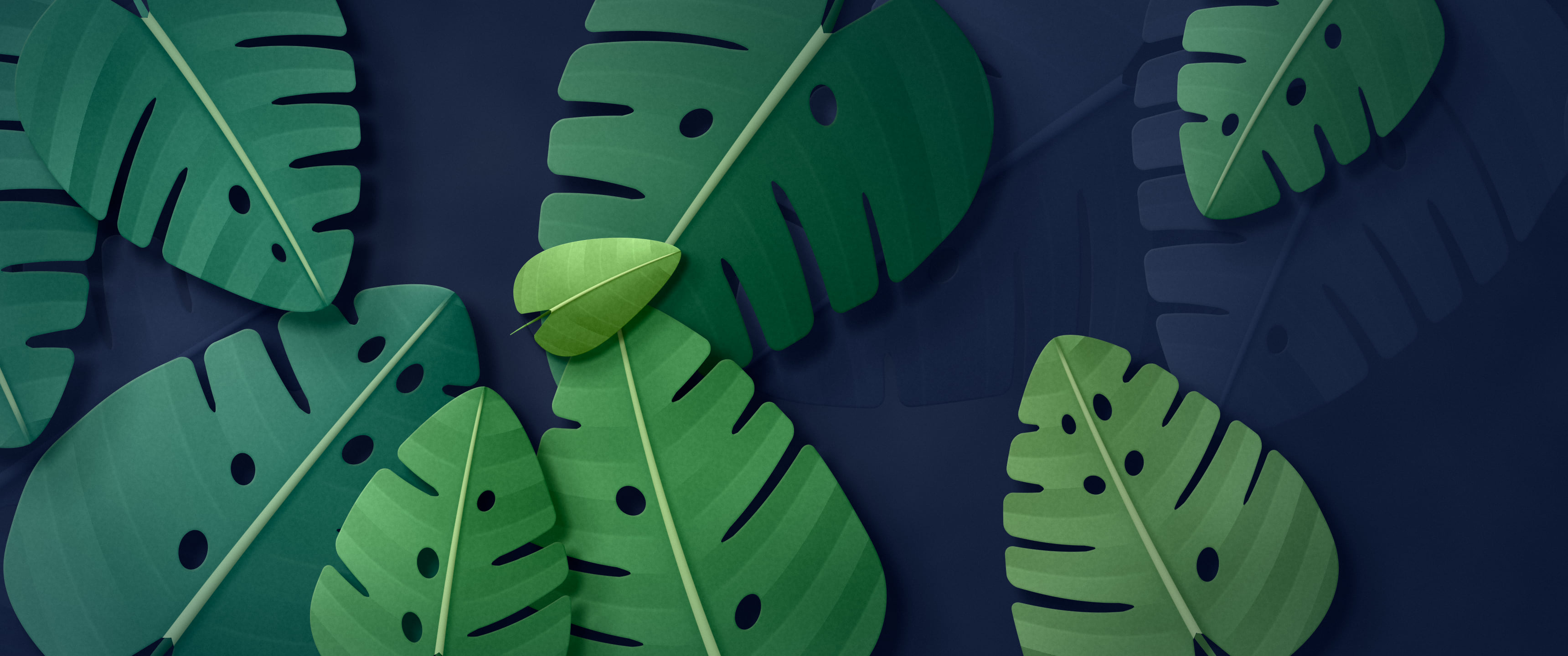 Navy Paper Monstera Leaves ultrawide wallpaper, 3440 × 1440