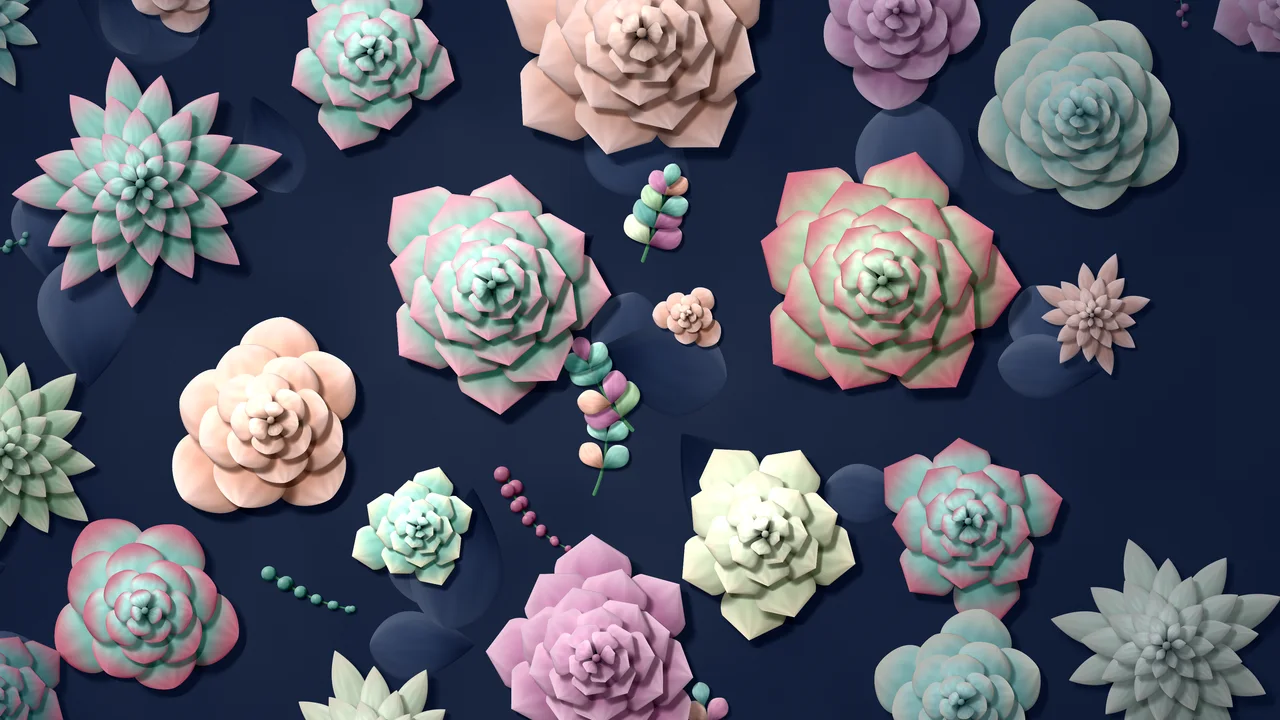 Navy Paper Succulents desktop wallpaper in 4K