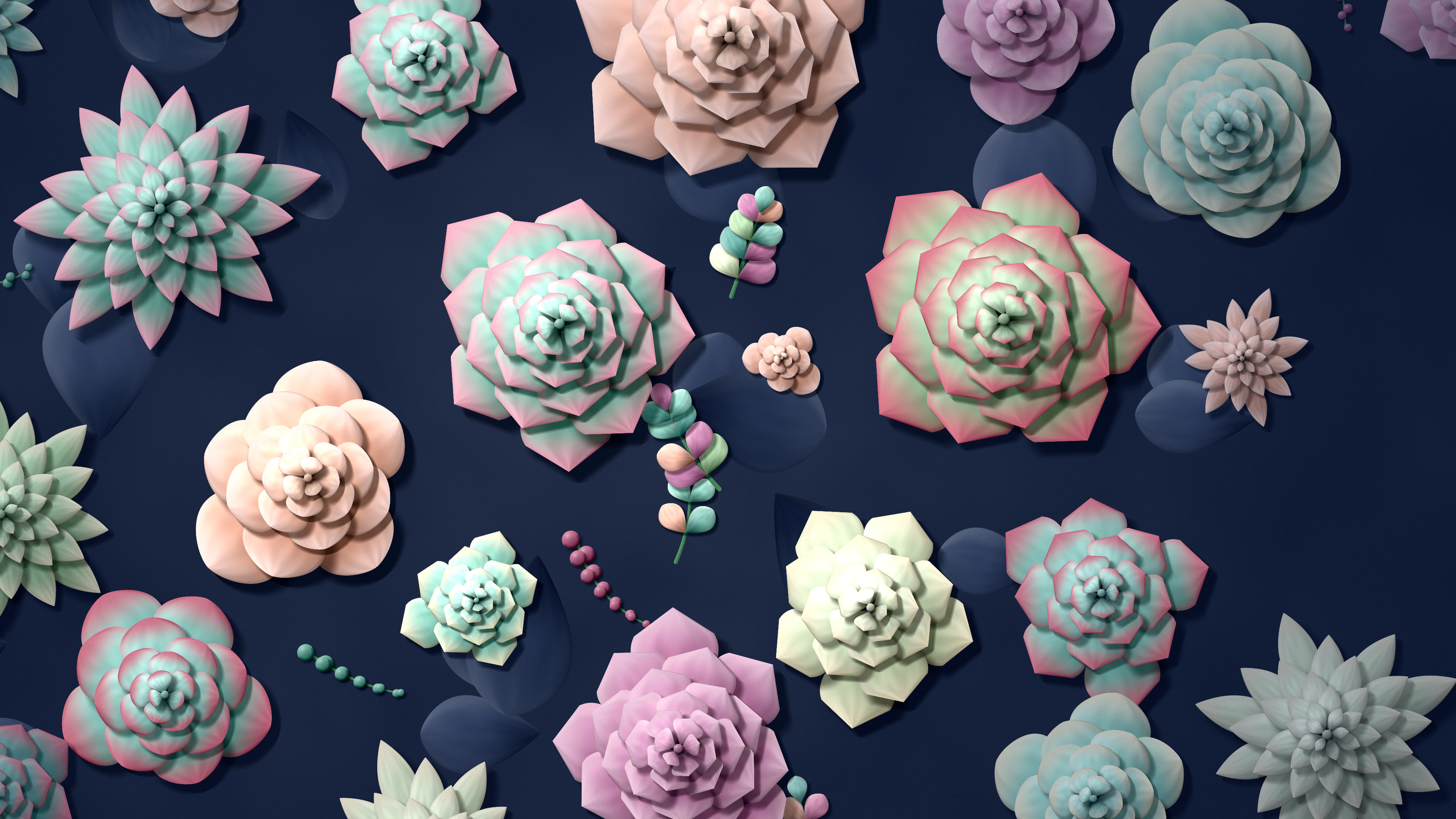 Navy Paper Succulents desktop wallpaper in 4K
