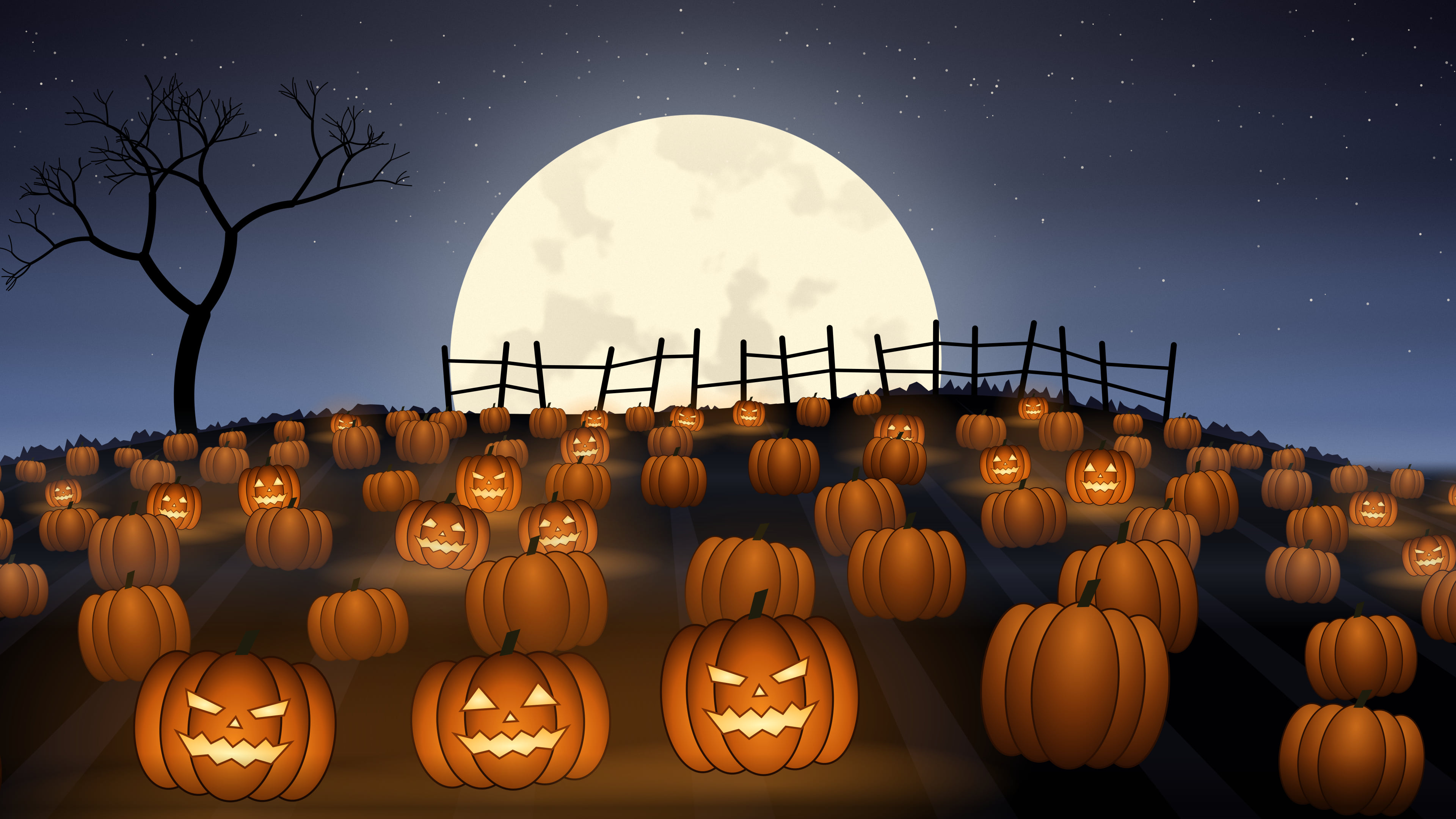 Navy Pumpkin Patch desktop wallpaper in 4K