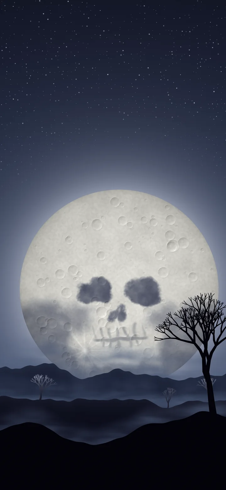 Navy Skull Moon wallpaper for iPhone and Android