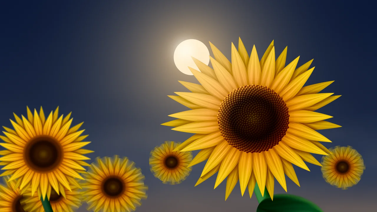 Navy Sunflower Sky desktop wallpaper in 4K