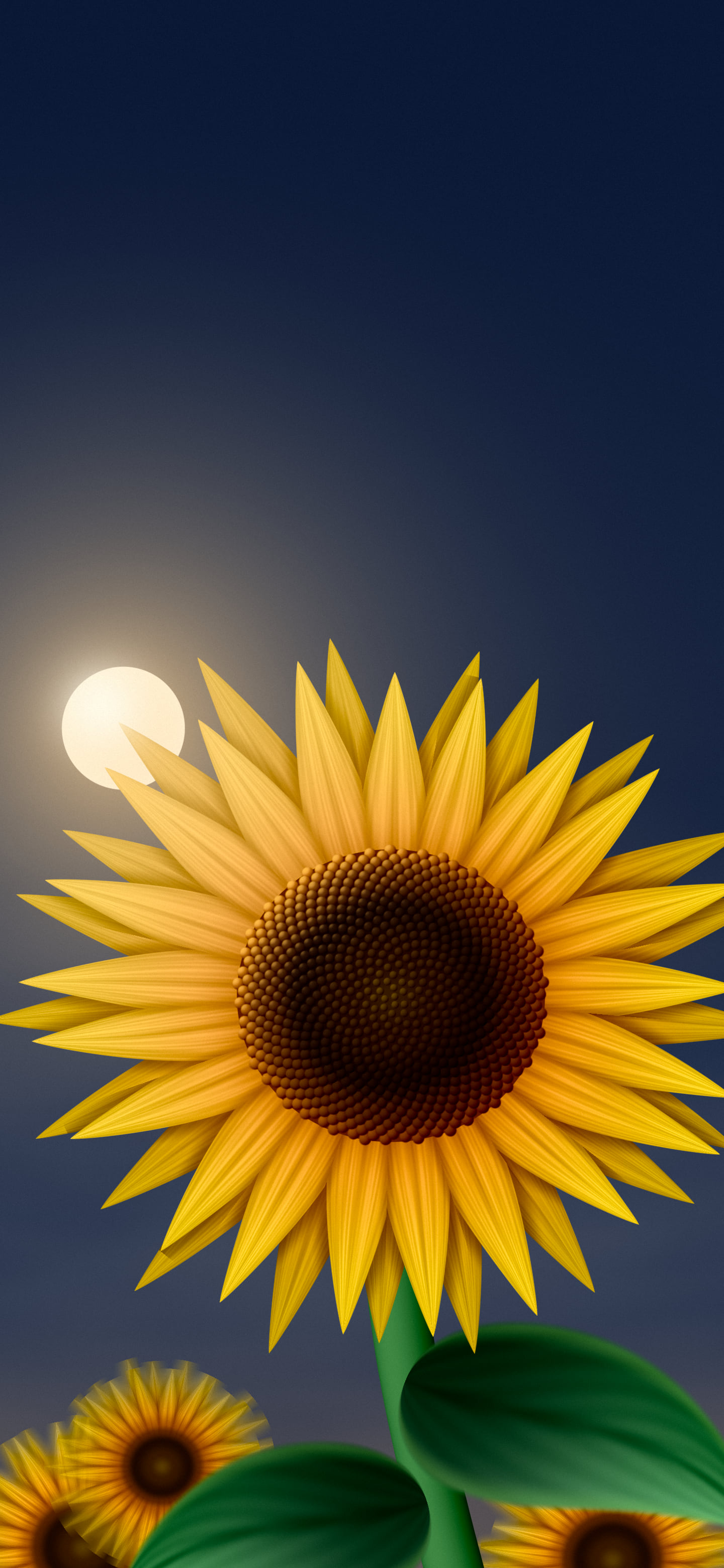 Navy Sunflower Sky wallpaper for iPhone and Android