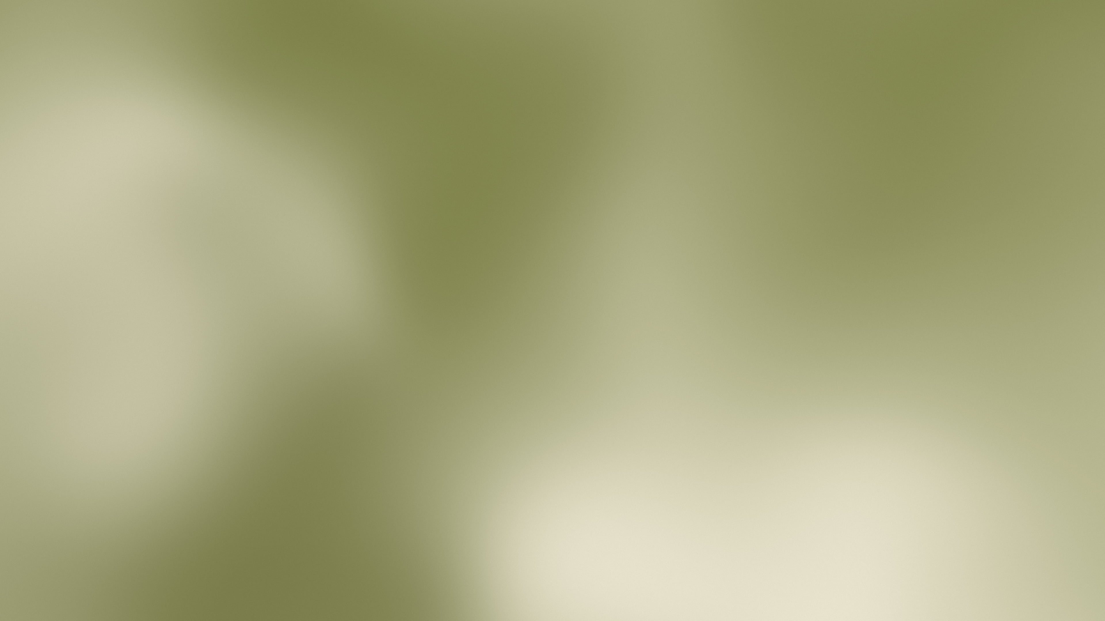 Olive and Cream Mesh Gradient desktop wallpaper in 4K