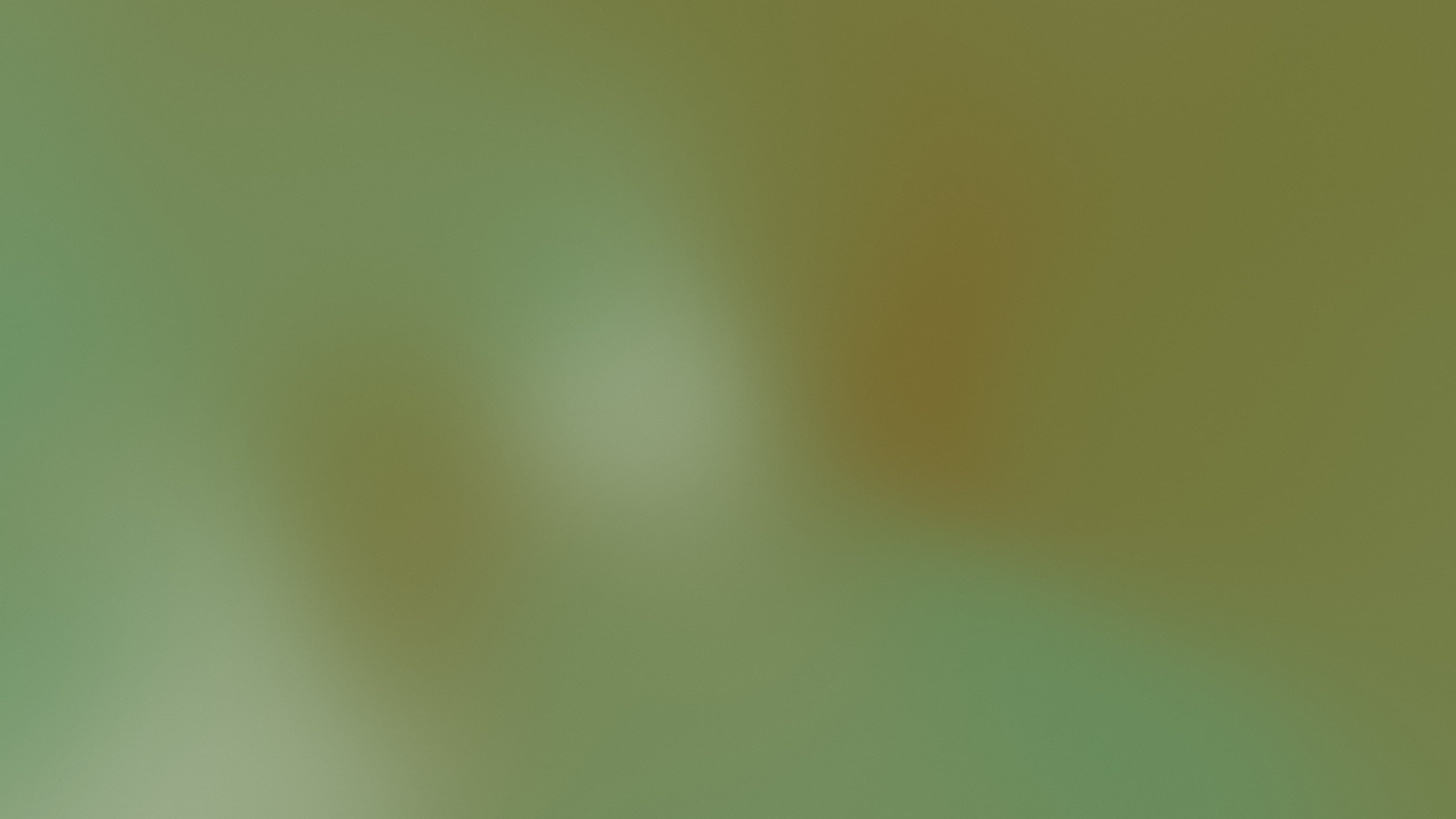 Olive Mesh Gradient desktop wallpaper in 4K