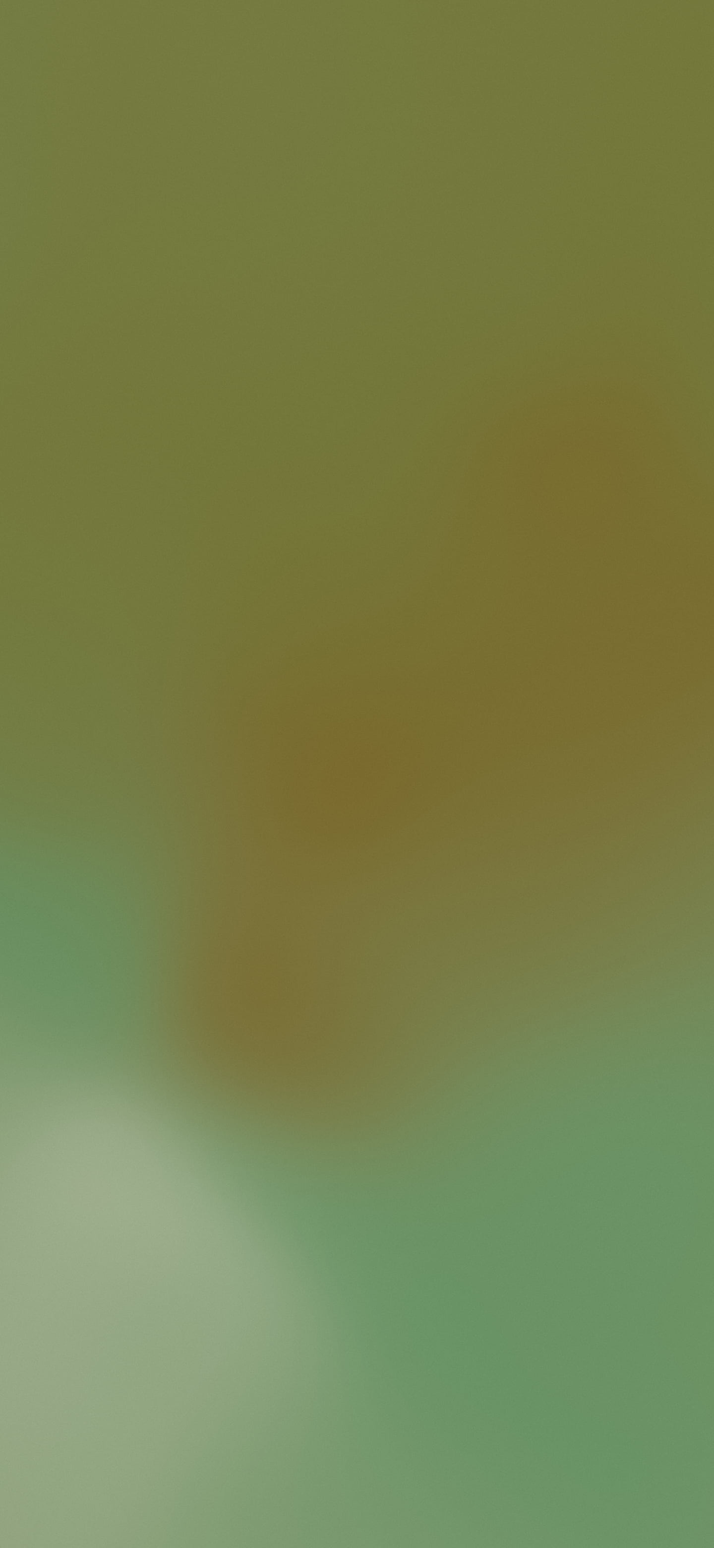 Olive Mesh Gradient wallpaper for iPhone and Android