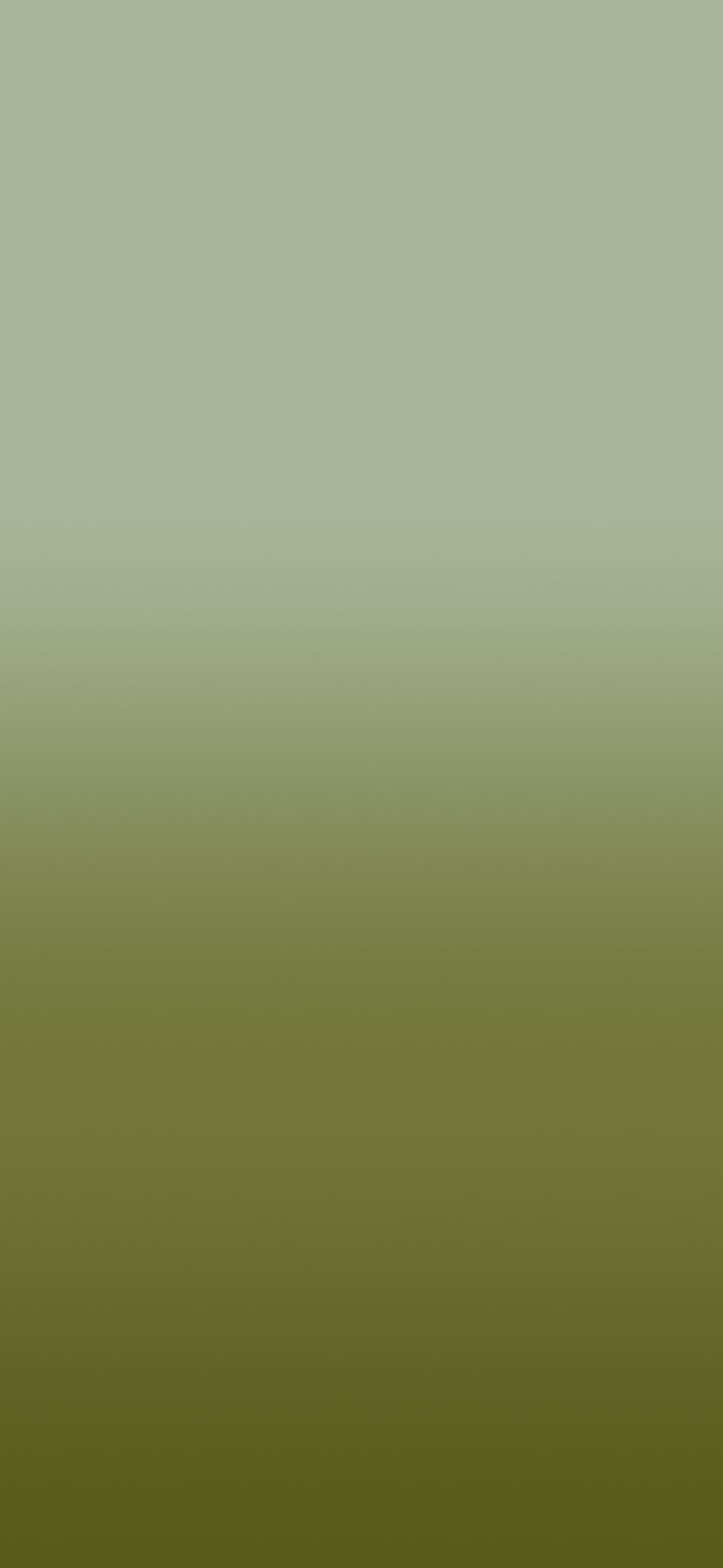 Olive Ombre Gradient wallpaper for iPhone and Android