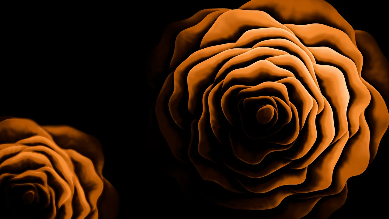 Orange Rose from Above desktop wallpaper in 4K