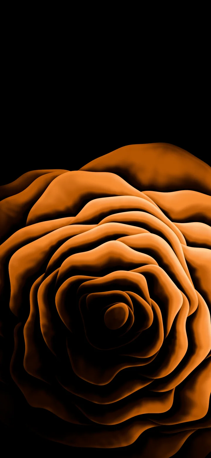 Orange Rose from Above wallpaper for iPhone and Android