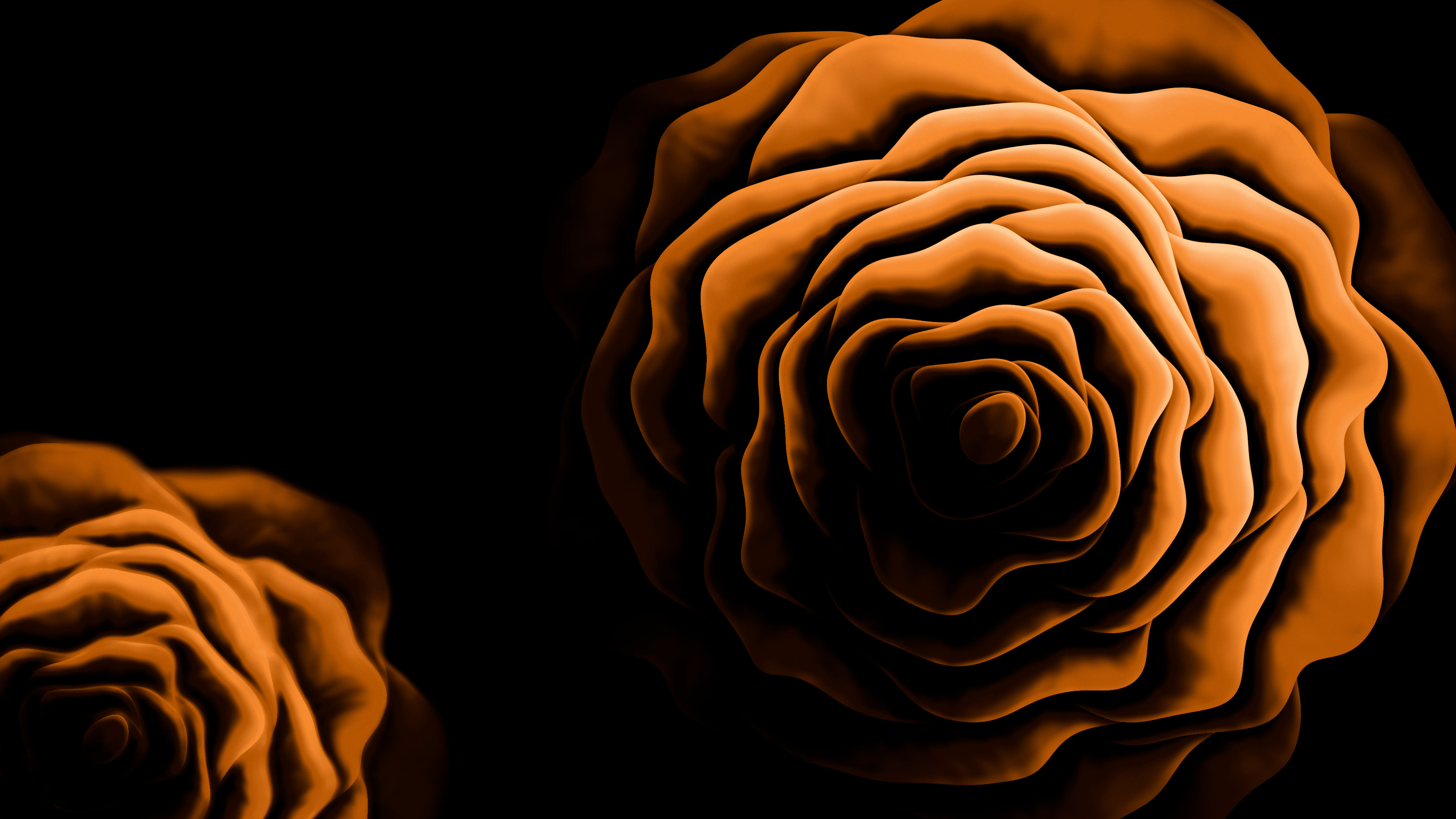 Orange Rose from Above desktop wallpaper in 4K