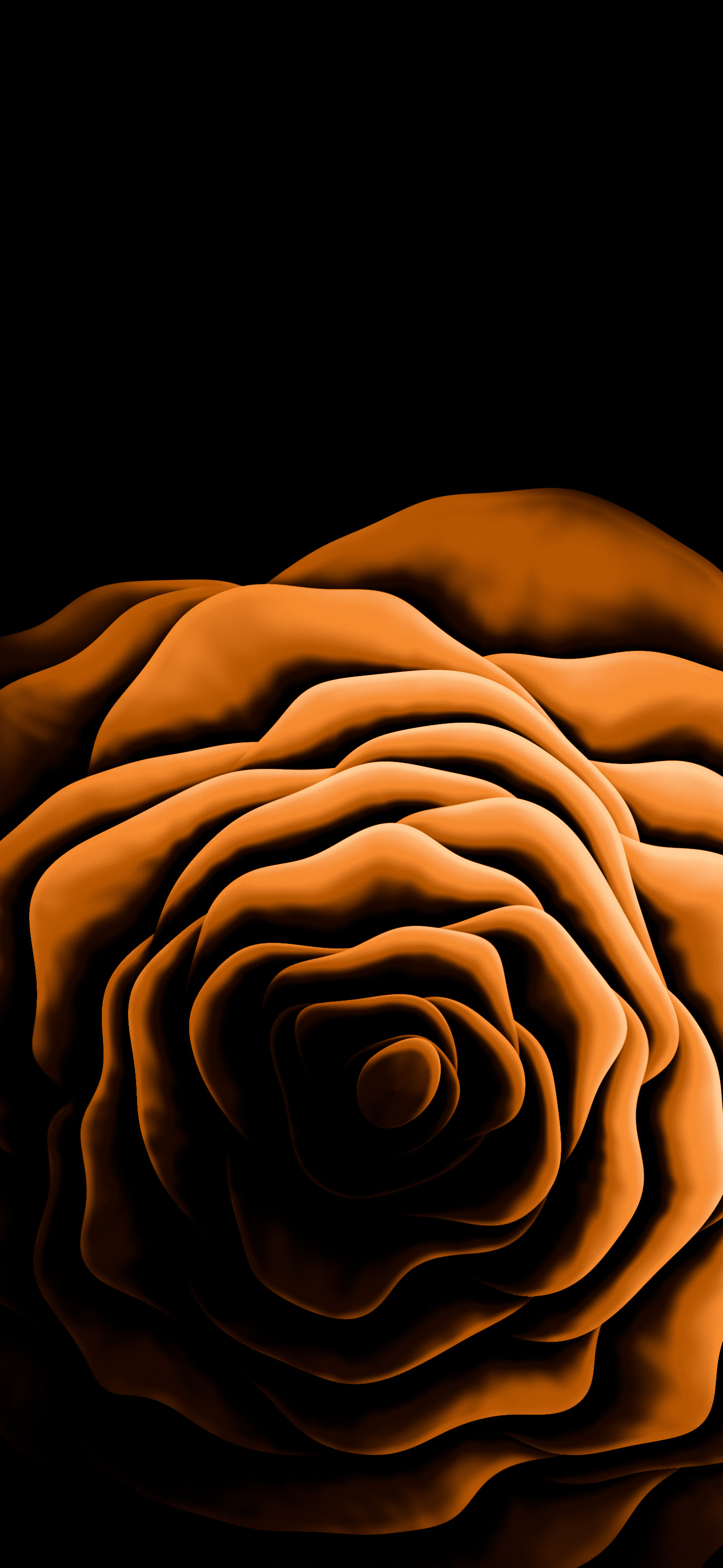 Orange Rose from Above wallpaper for iPhone and Android