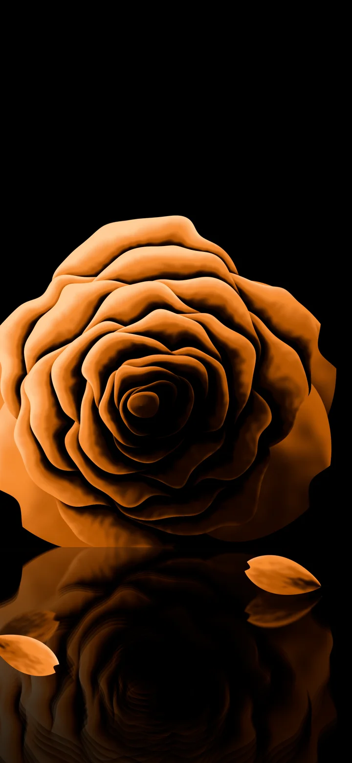 Orange Rose Reflection wallpaper for iPhone and Android