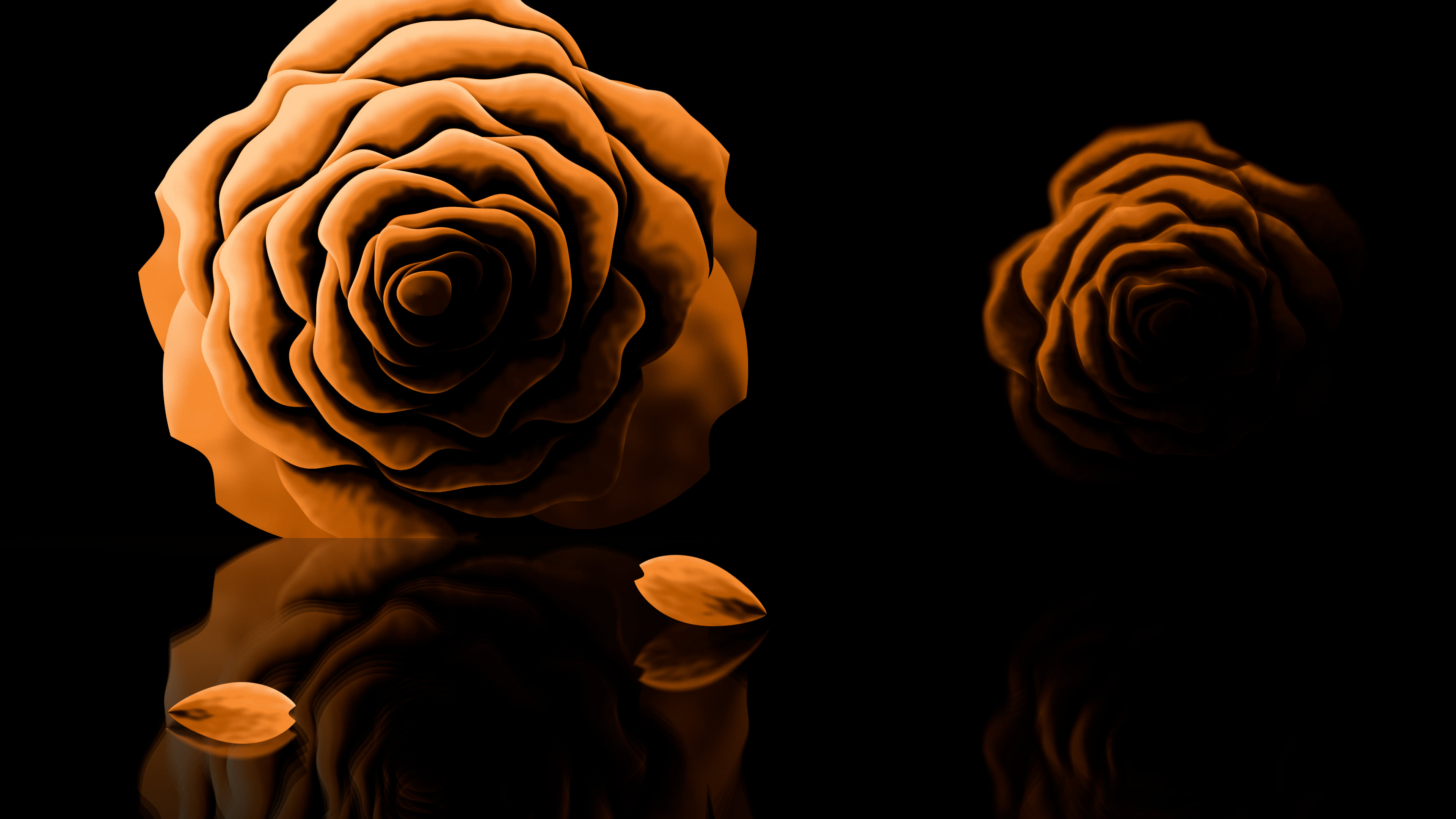 Orange Rose Reflection desktop wallpaper in 4K