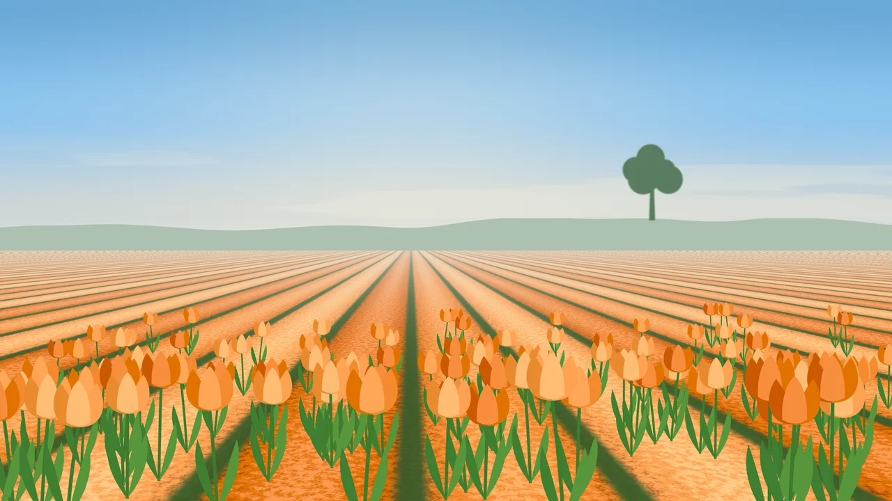 Orange Tulip Field desktop wallpaper in 4K