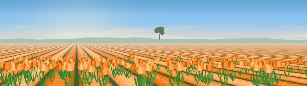 Orange Tulip Field dual monitor wallpaper, 7680 × 2160