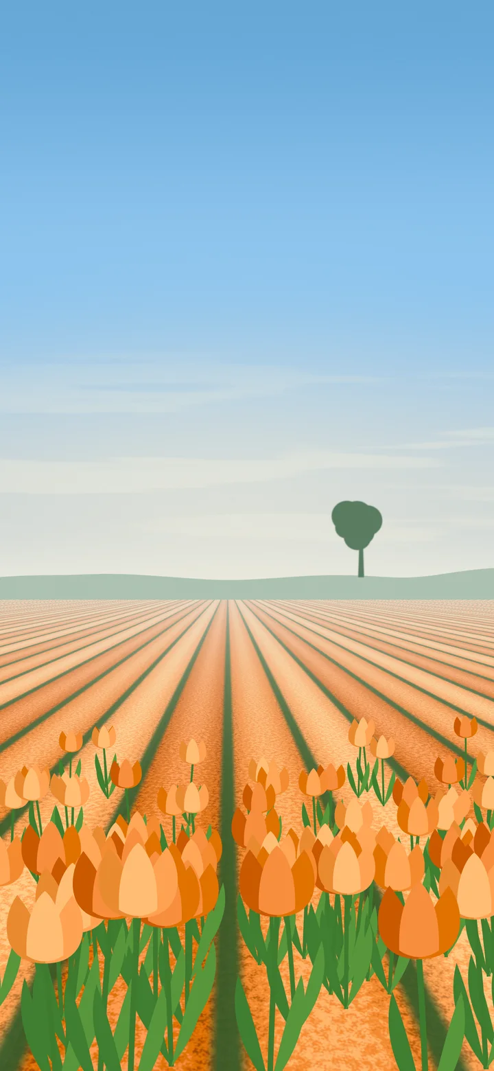 Orange Tulip Field wallpaper for iPhone and Android