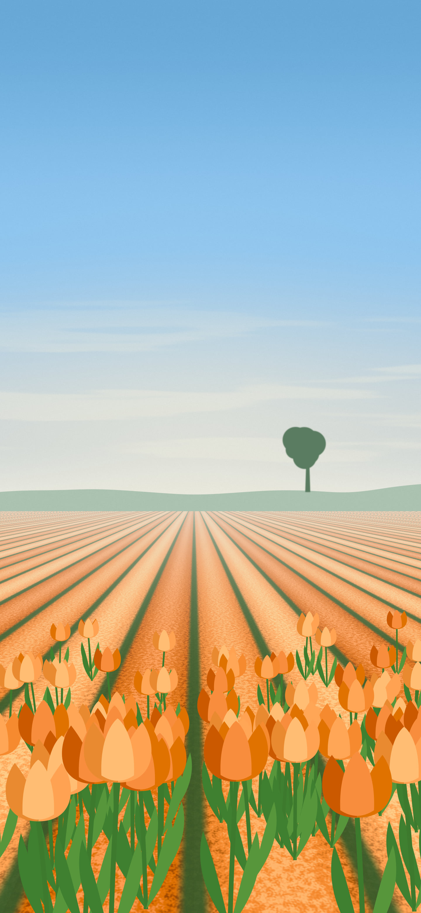 Orange Tulip Field wallpaper for iPhone and Android