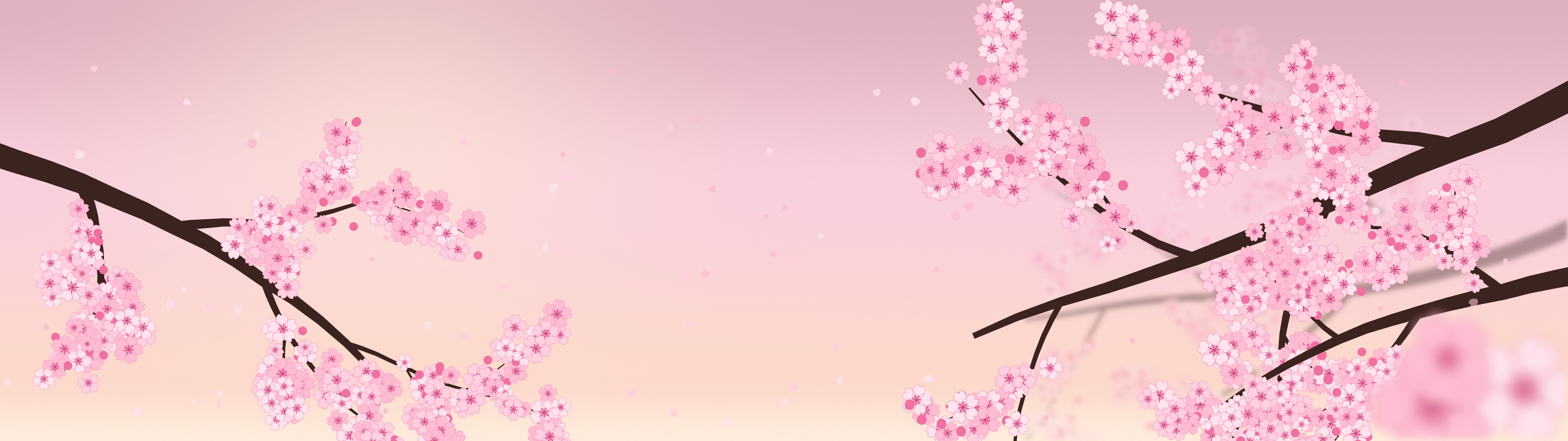 Pastel Pink Cherry Blossom Branch dual monitor wallpaper, 7680 × 2160