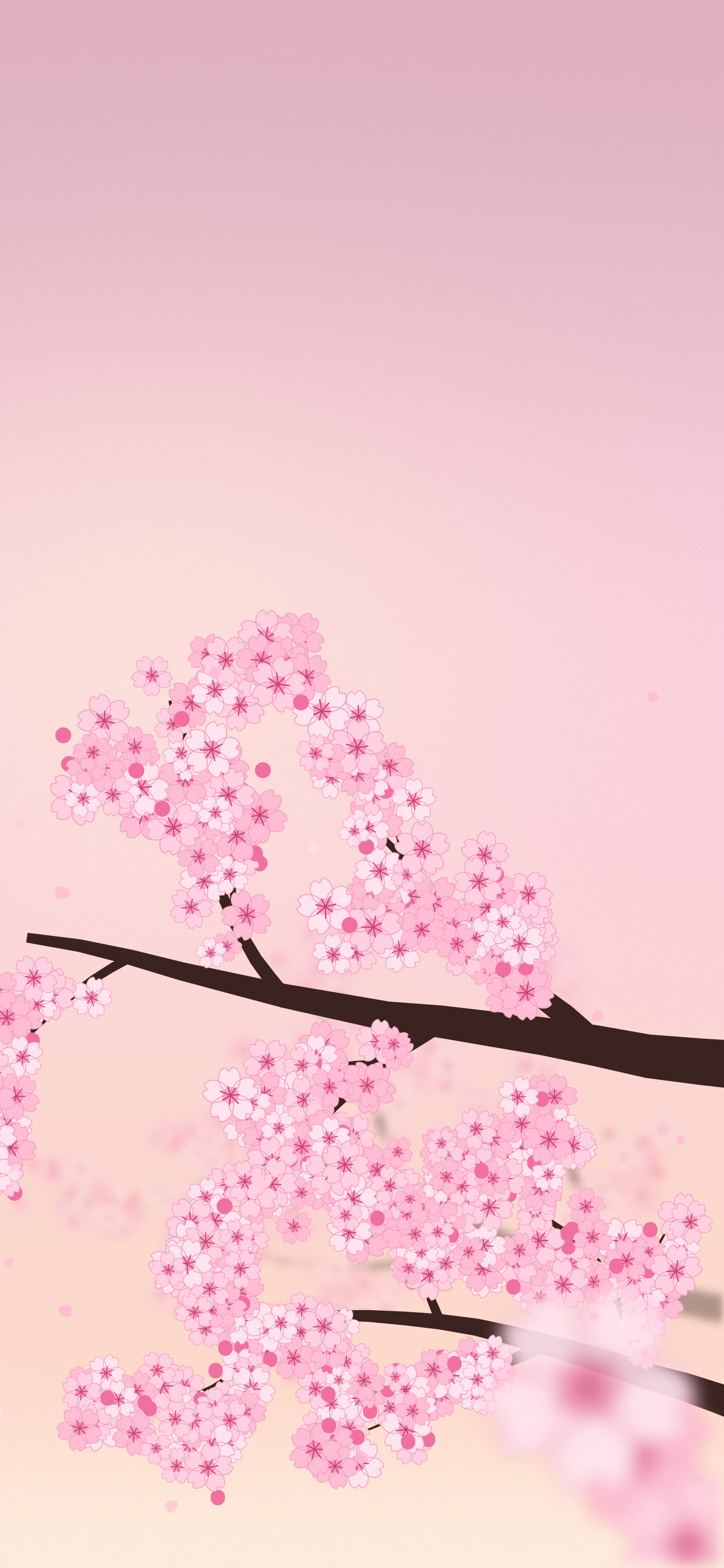 Pastel Pink Cherry Blossom Branch wallpaper for iPhone and Android