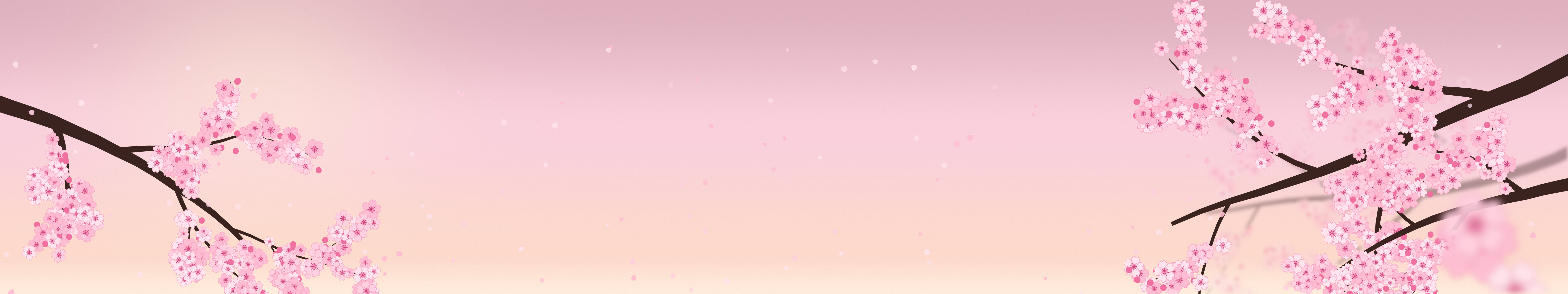 Pastel Pink Cherry Blossom Branch triple monitor wallpaper, 7680 × 1440