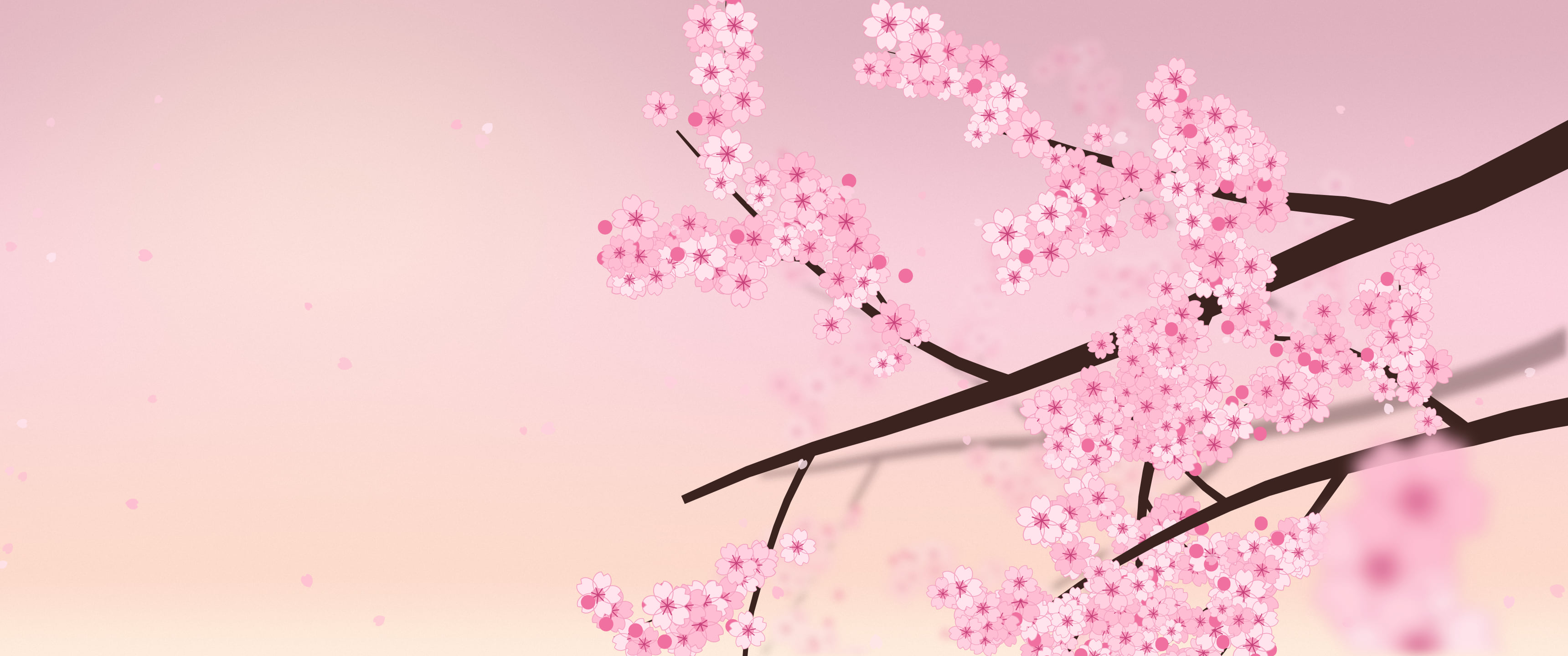 Pastel Pink Cherry Blossom Branch ultrawide wallpaper, 3440 × 1440