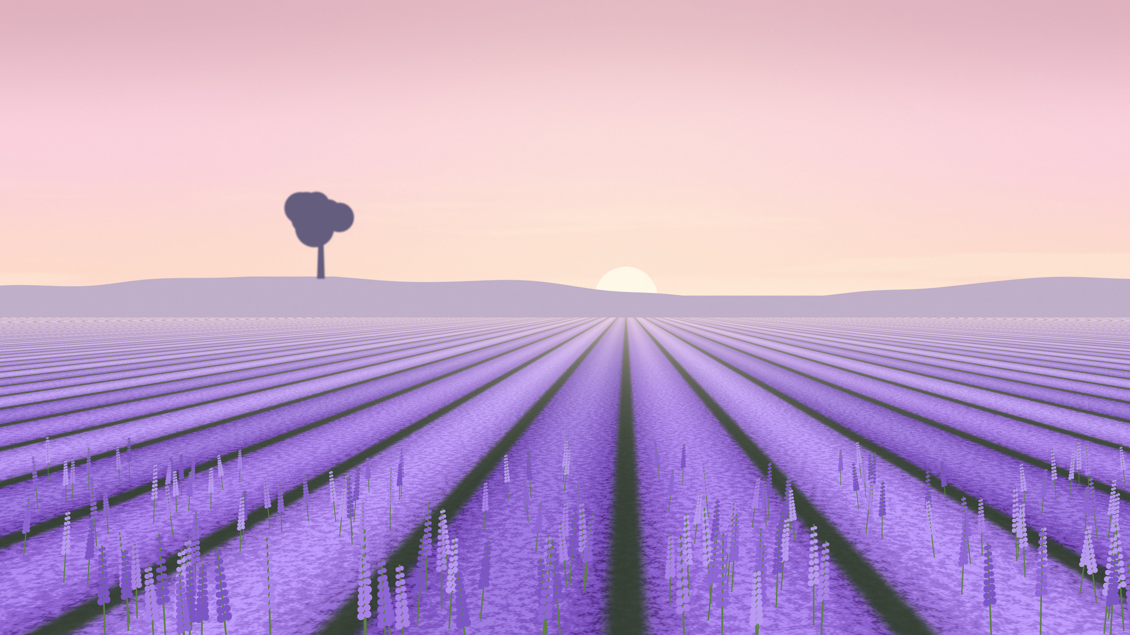 Pastel Pink Lavender Field desktop wallpaper in 4K